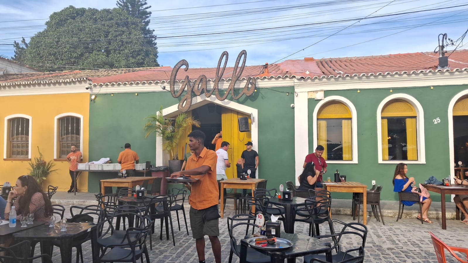 Gallo Porto Seguro