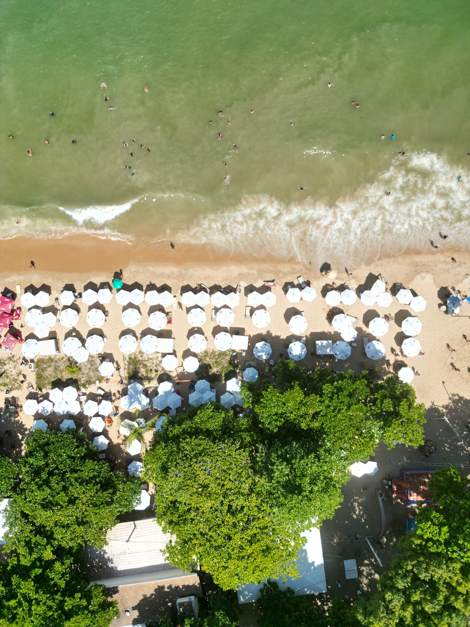 Gallo Praia
