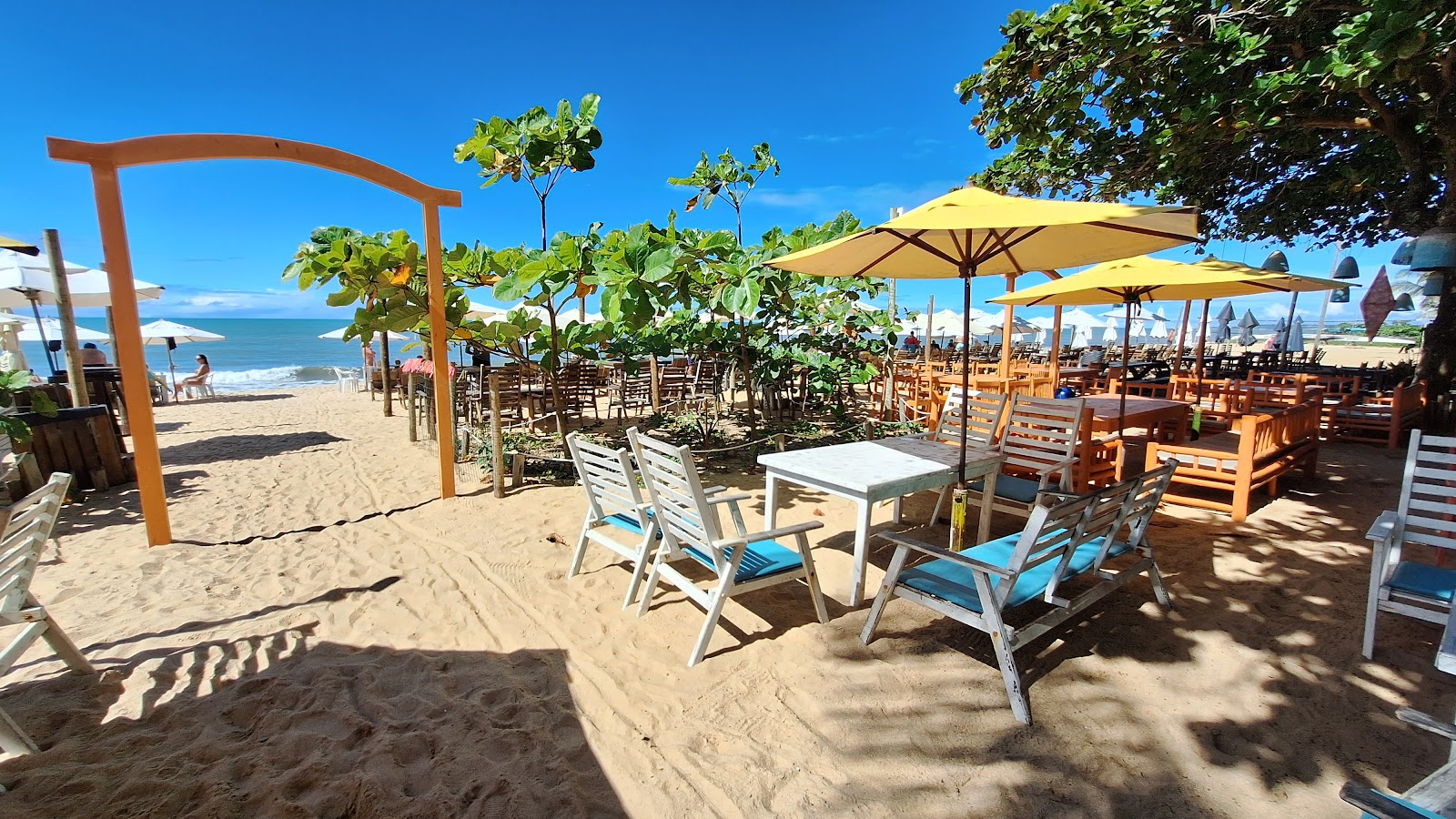 Gallo Praia