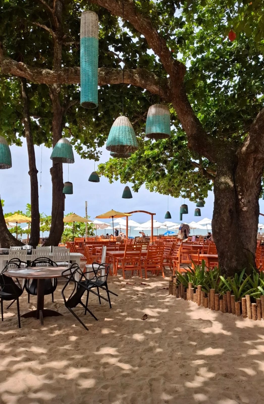 Gallo Praia