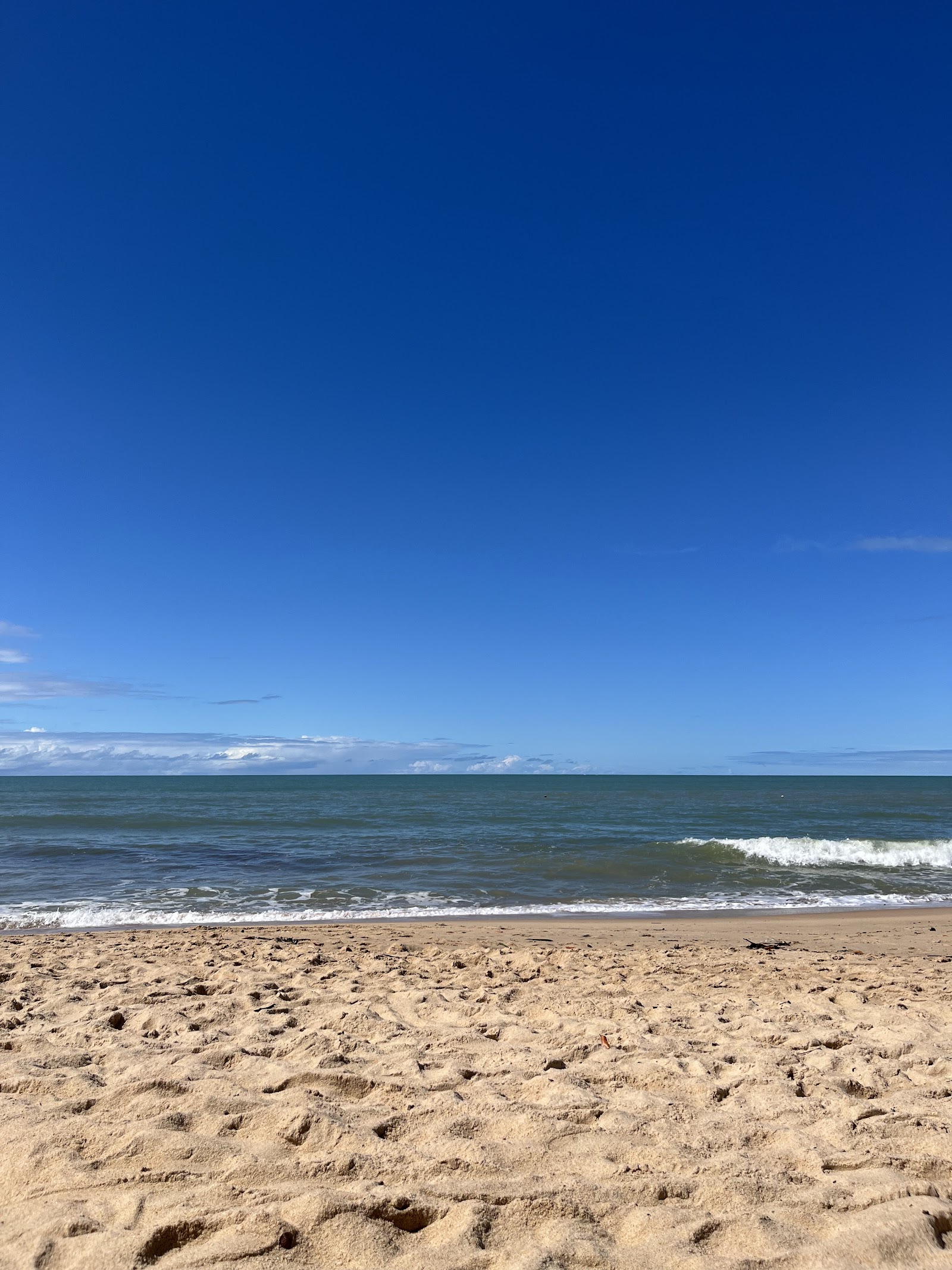 Gallo Praia