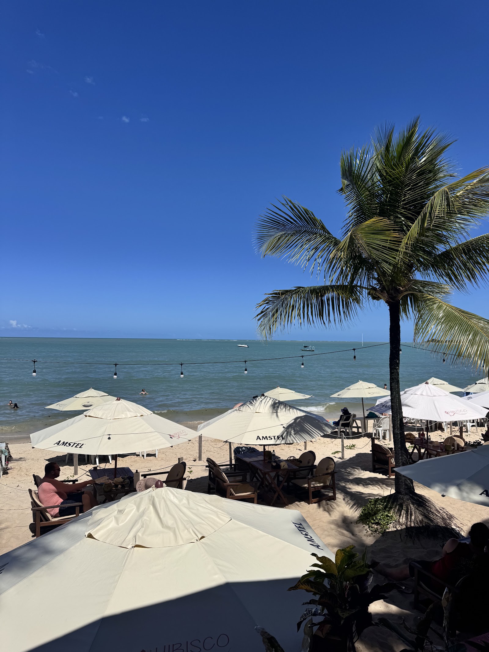 Hibisco Praia