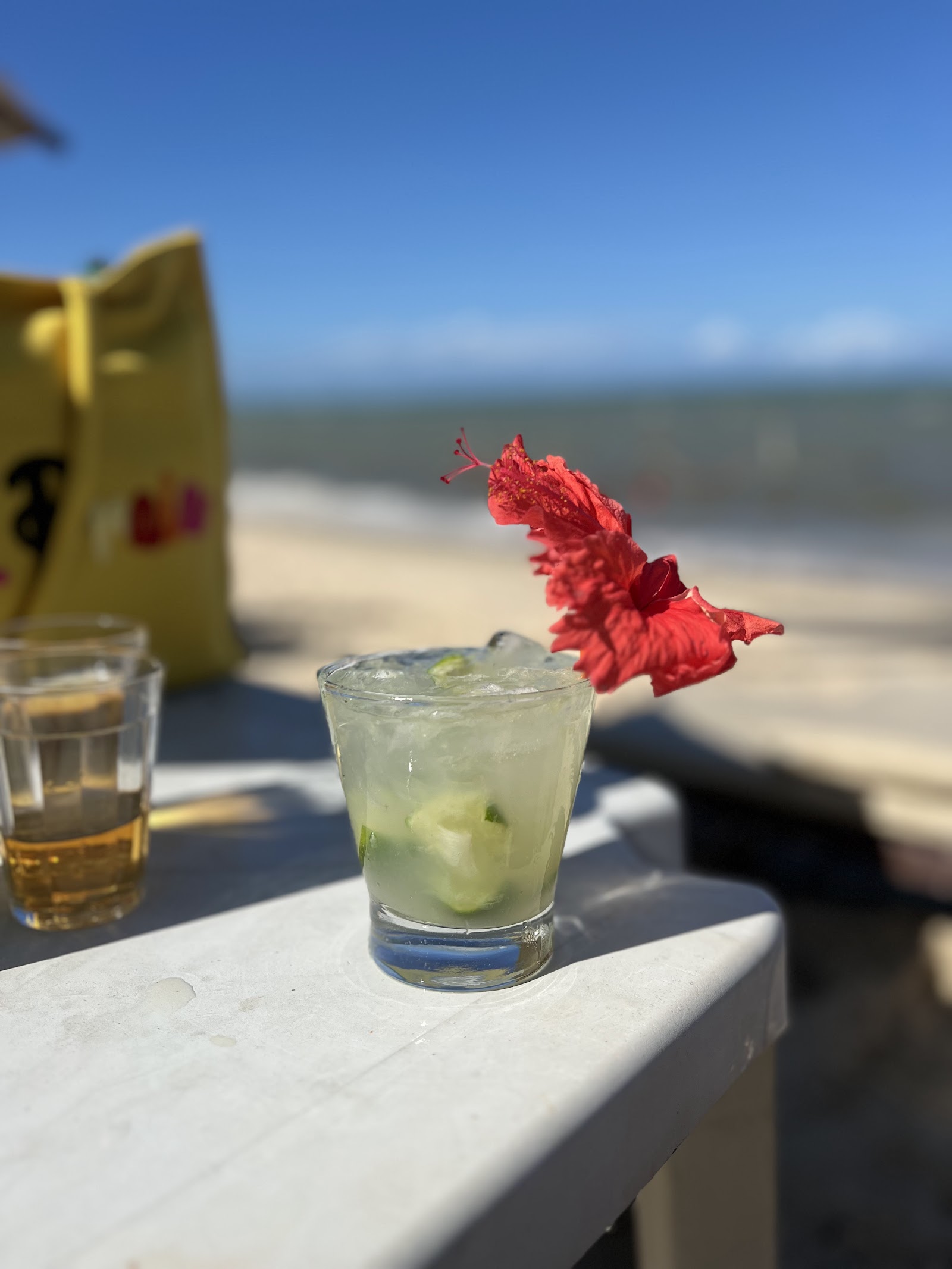 Hibisco Praia