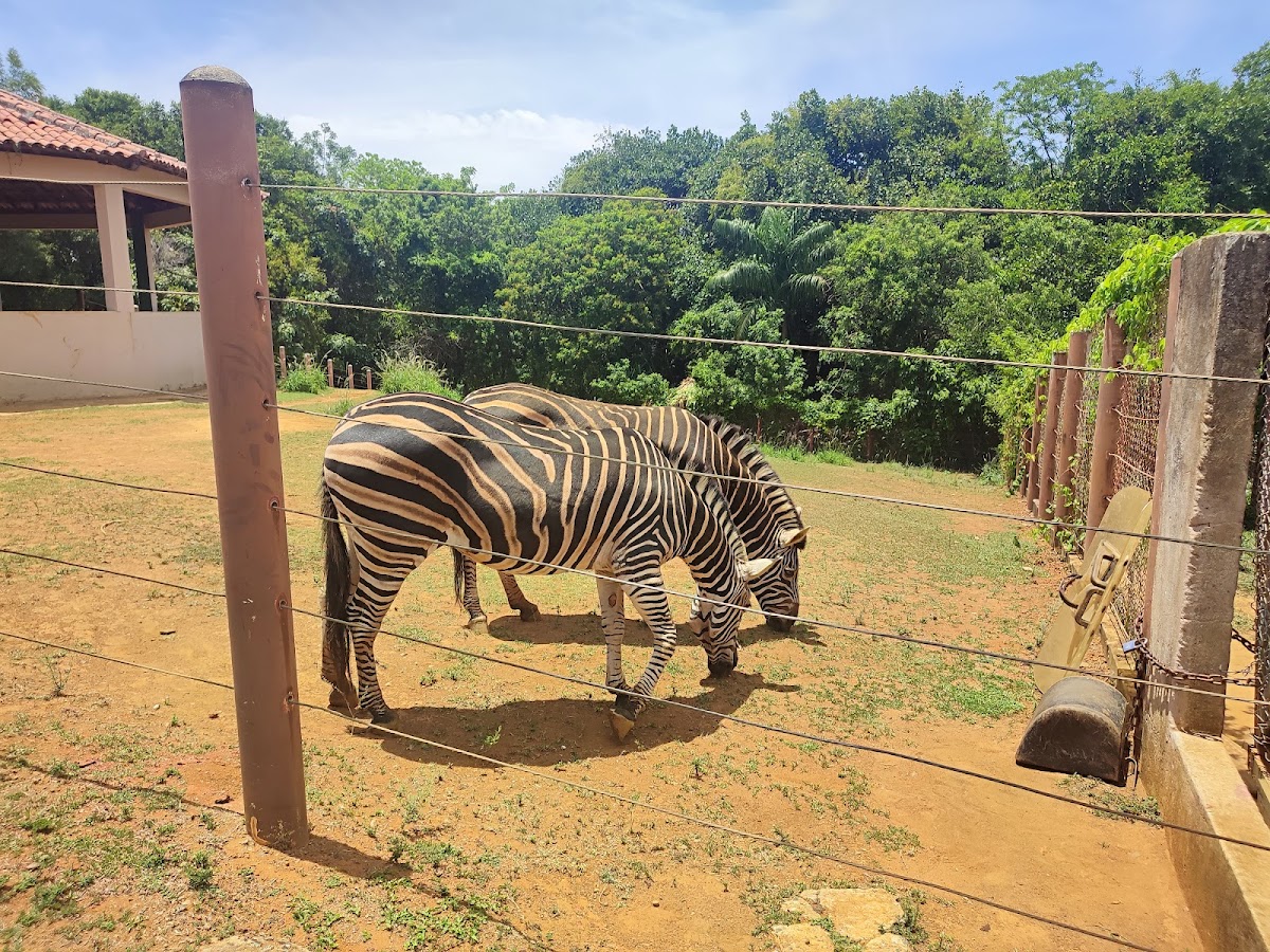 Parque Zoobotânico da Bahia