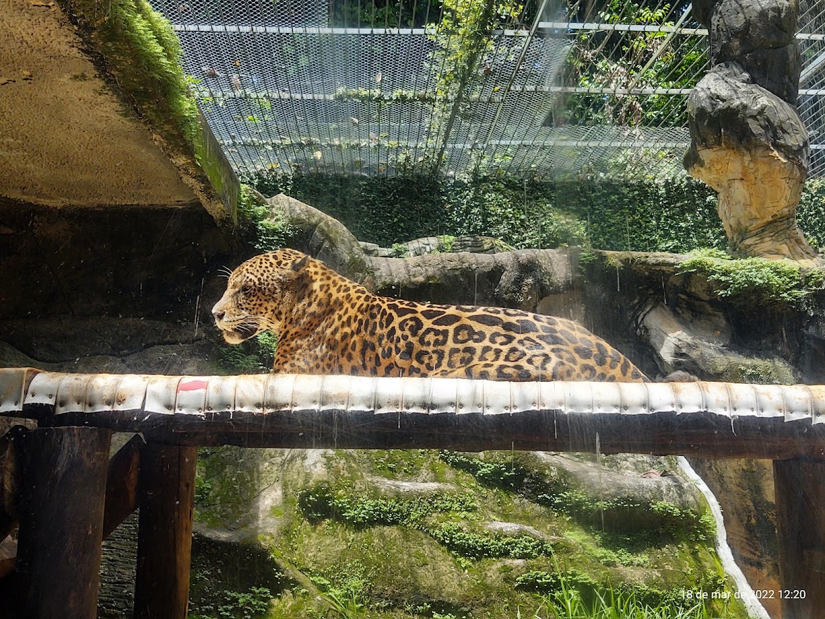 Parque Zoobotânico da Bahia