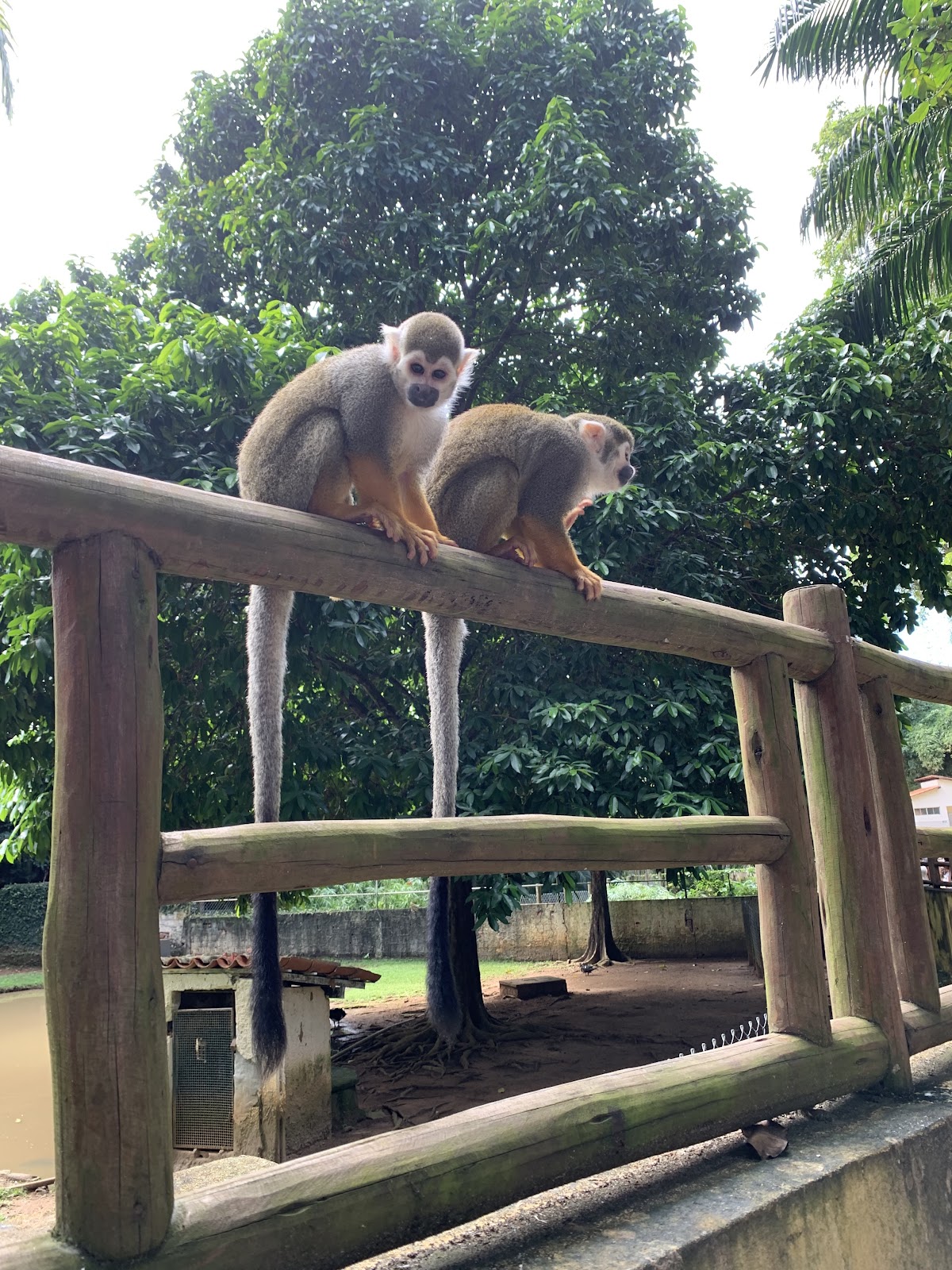Parque Zoobotânico da Bahia