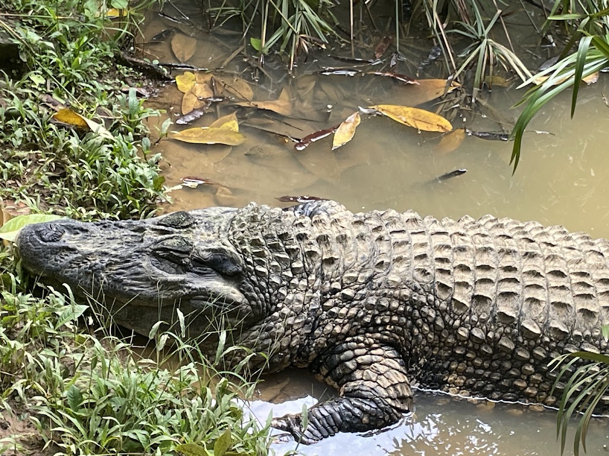 Parque Zoobotânico da Bahia