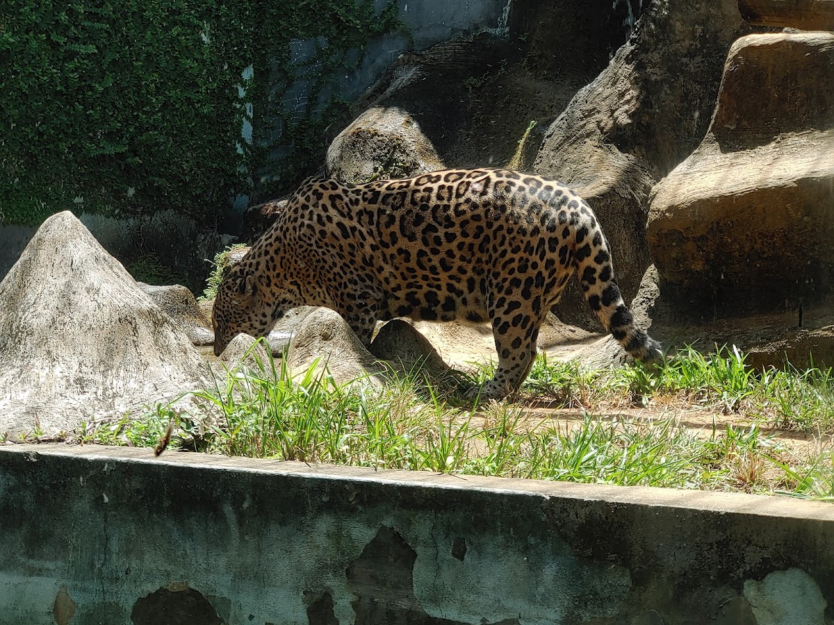 Parque Zoobotânico da Bahia