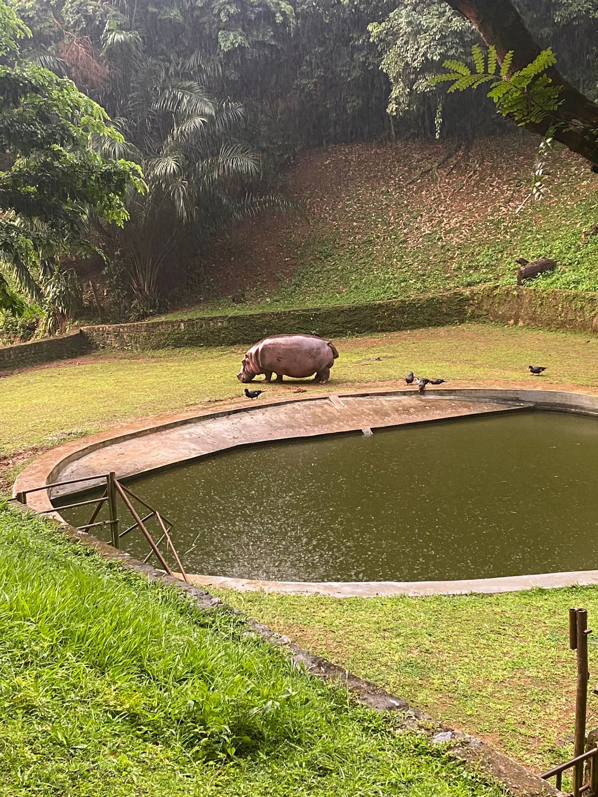Parque Zoobotânico da Bahia