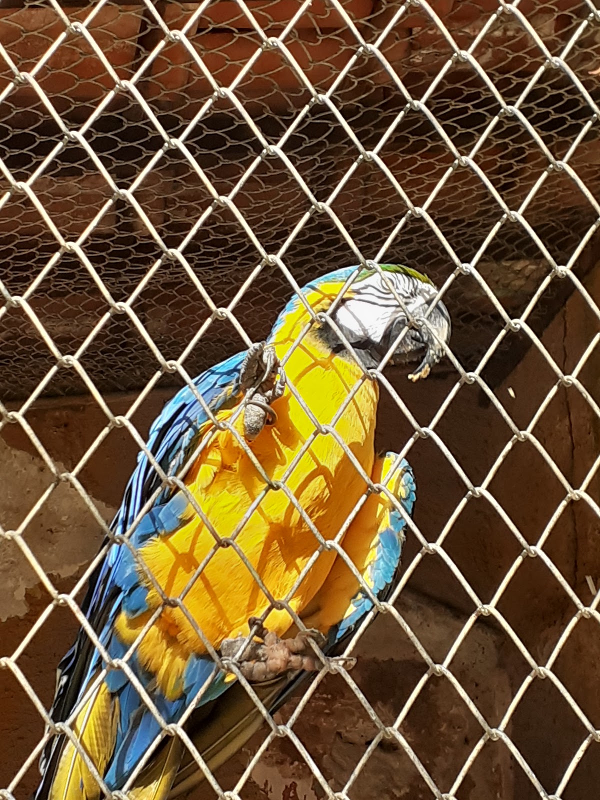 Parque Zoobotânico da Bahia