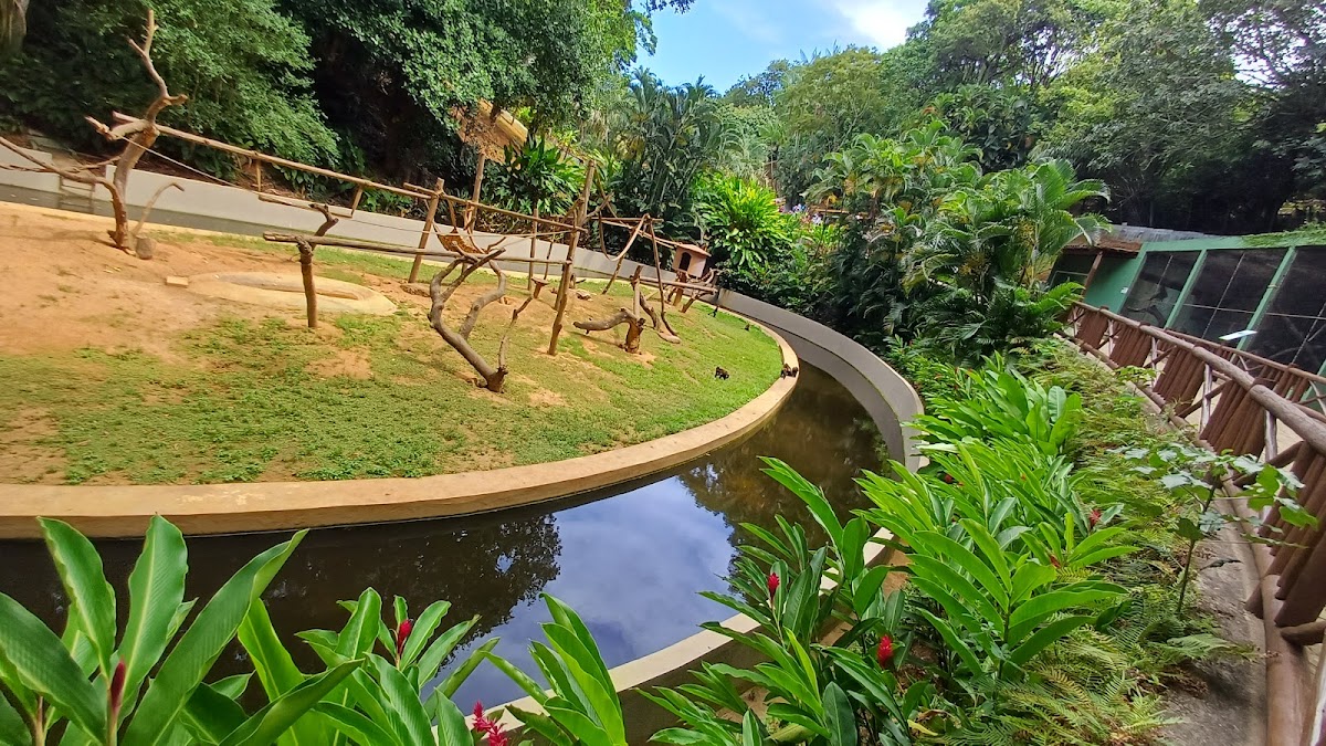 Parque Zoobotânico da Bahia