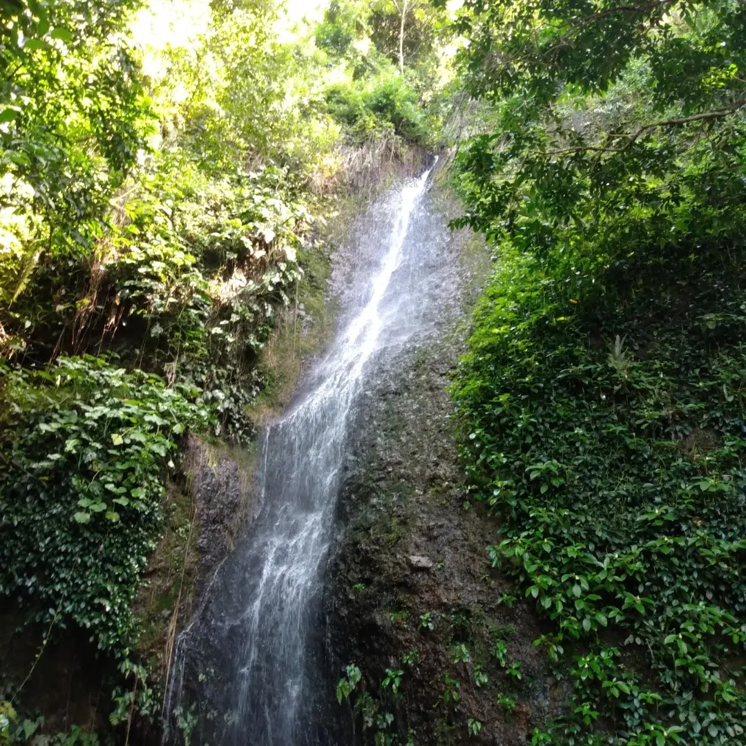 Parque São Bartolomeu - Entrada Plataforma