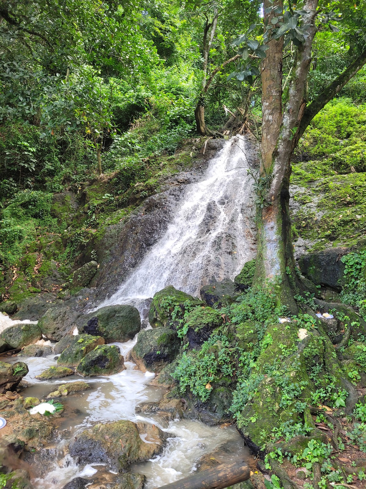Parque São Bartolomeu - Entrada Plataforma