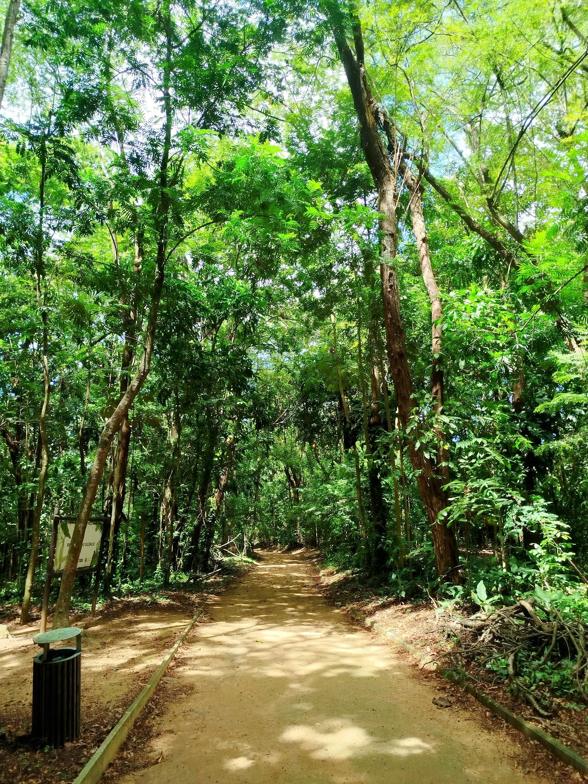 Jardim Botânico de Salvador | Mata dos Oitis