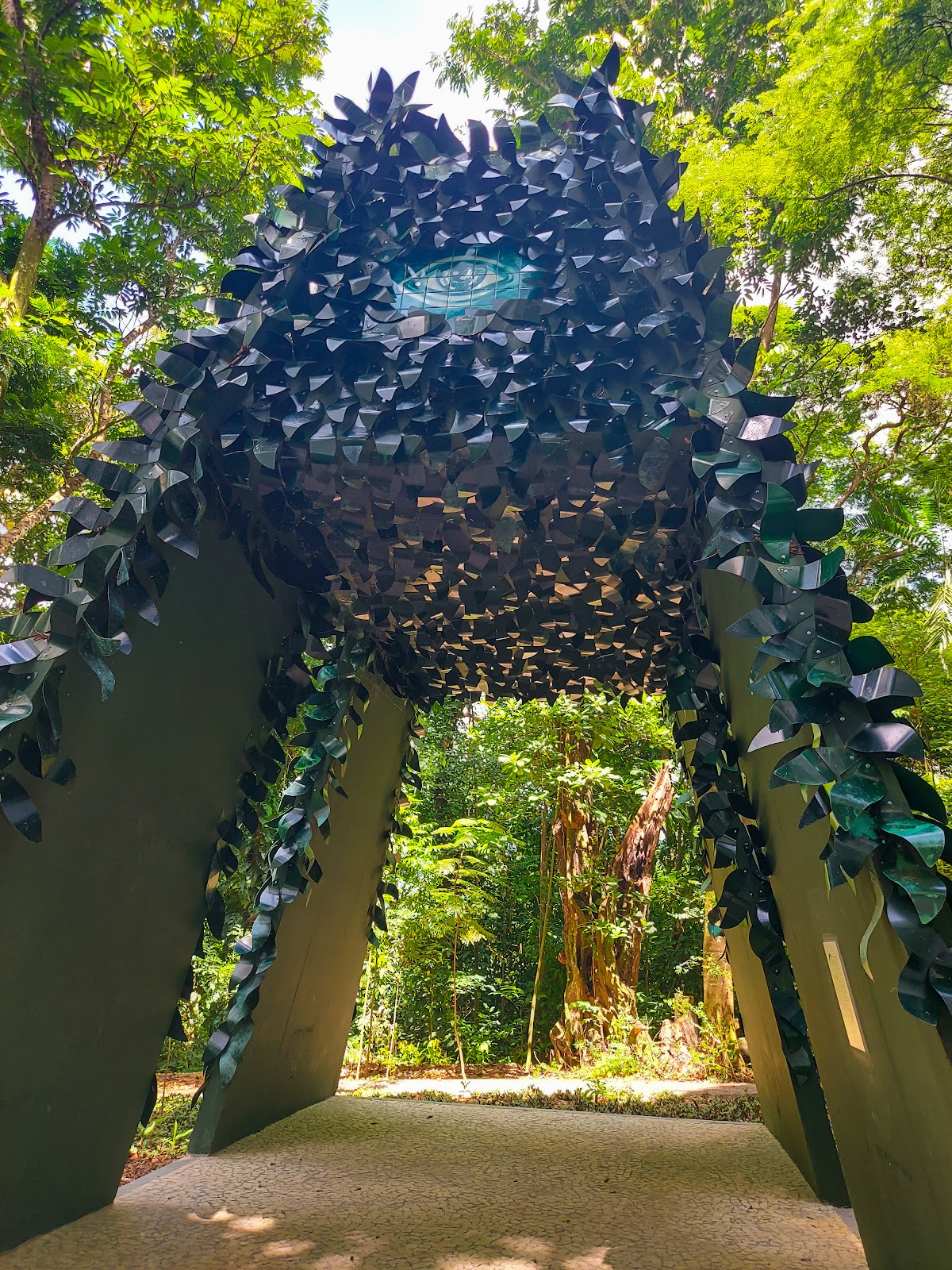 Jardim Botânico de Salvador | Mata dos Oitis
