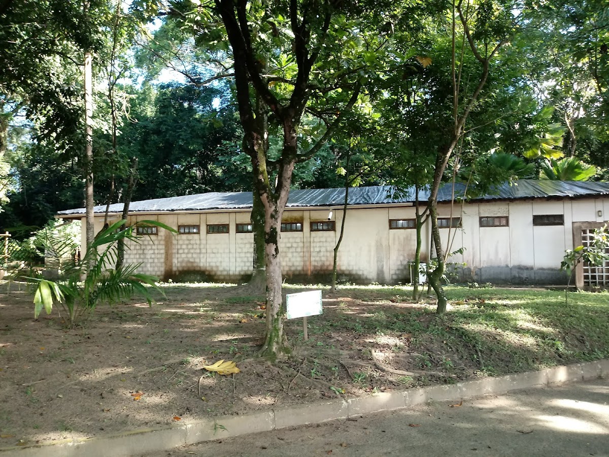 Jardim Botânico de Salvador | Mata dos Oitis