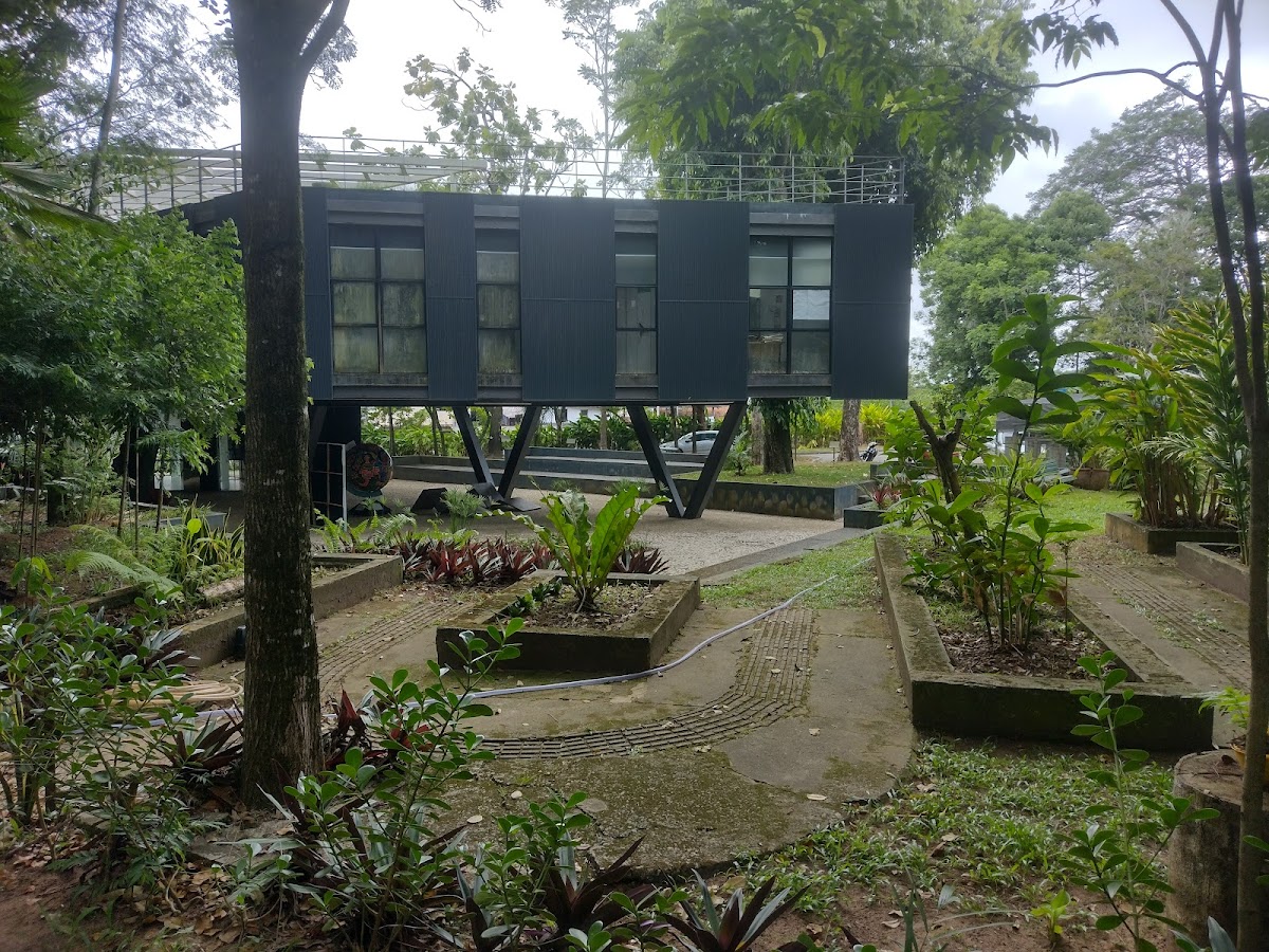 Jardim Botânico de Salvador | Mata dos Oitis