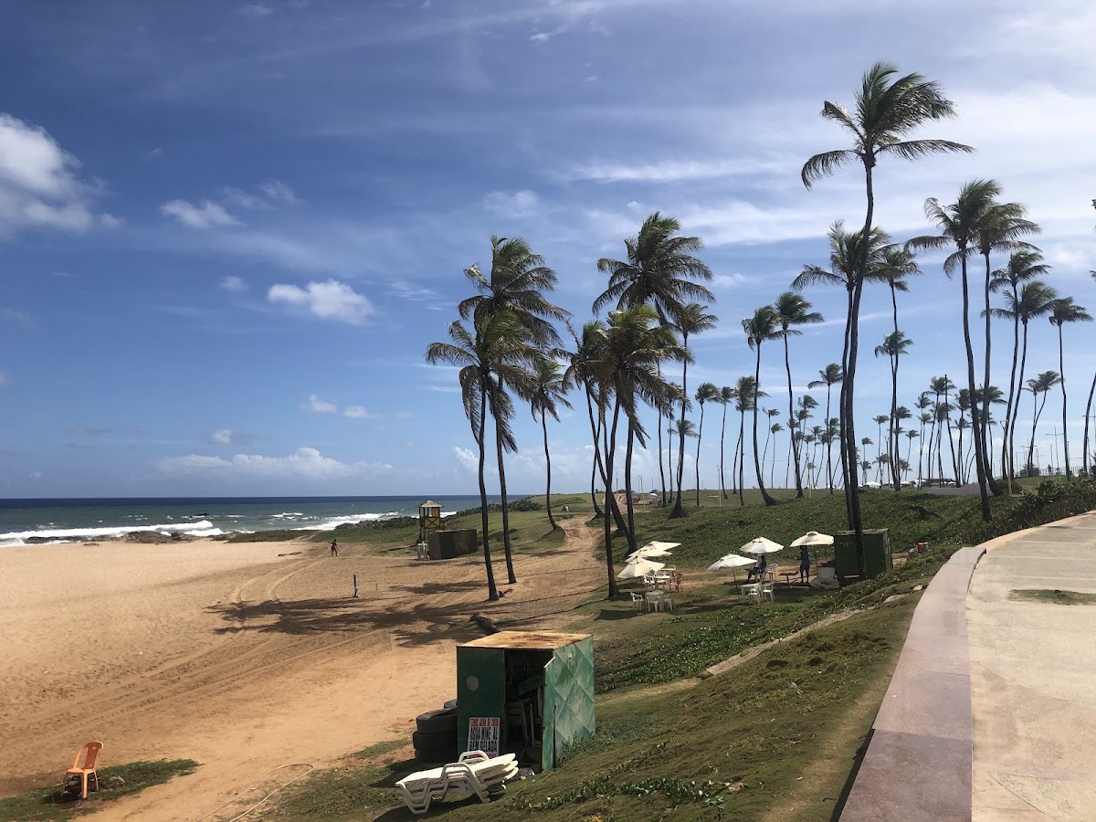 Praia de Armação