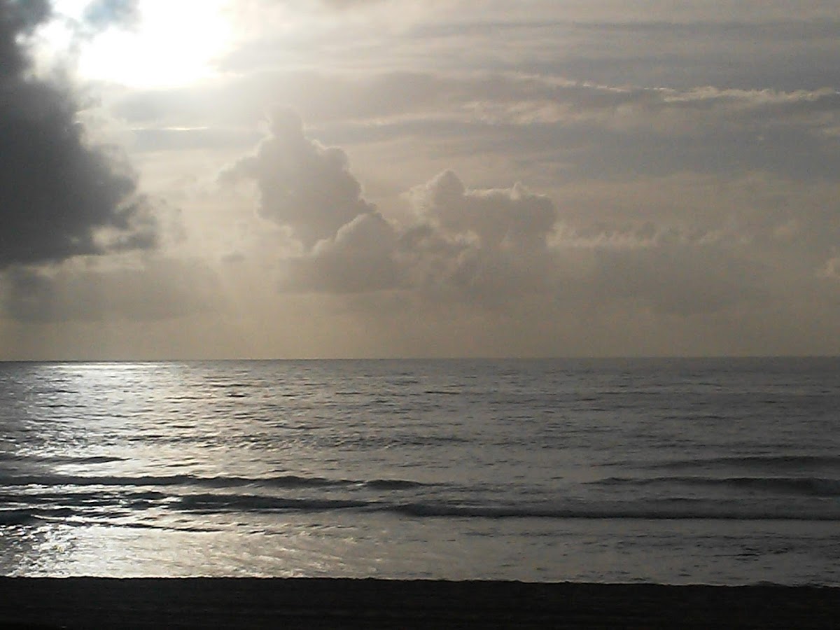 Praia de Armação