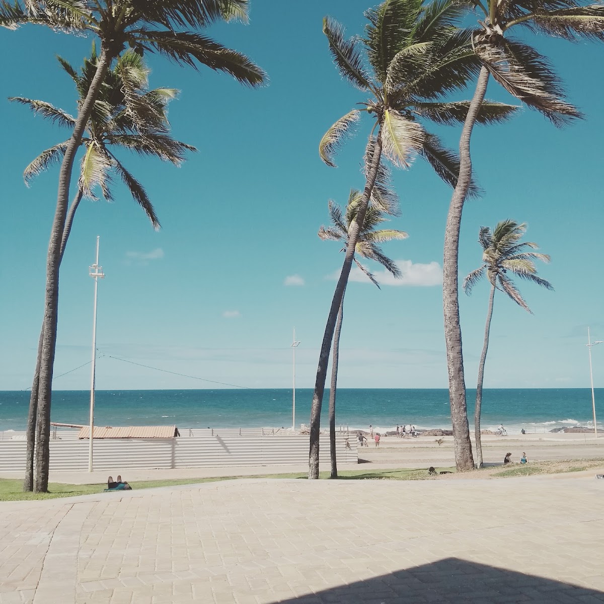 Praia de Armação