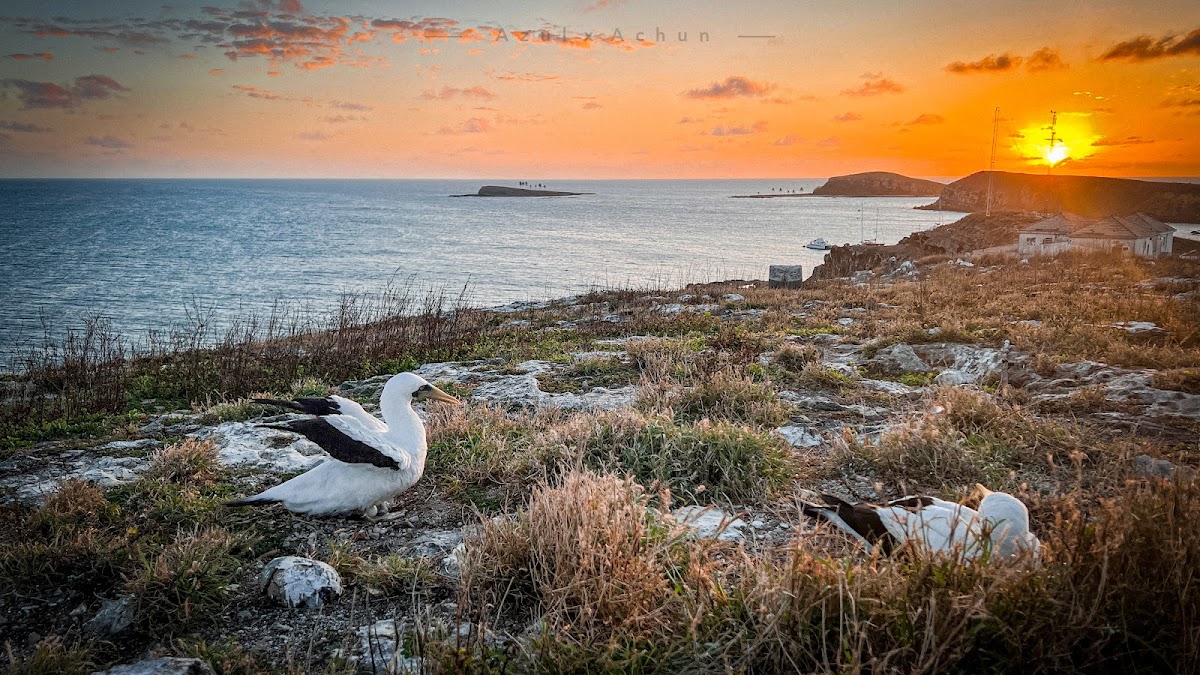 Parque Nacional Marinho dos Abrolhos