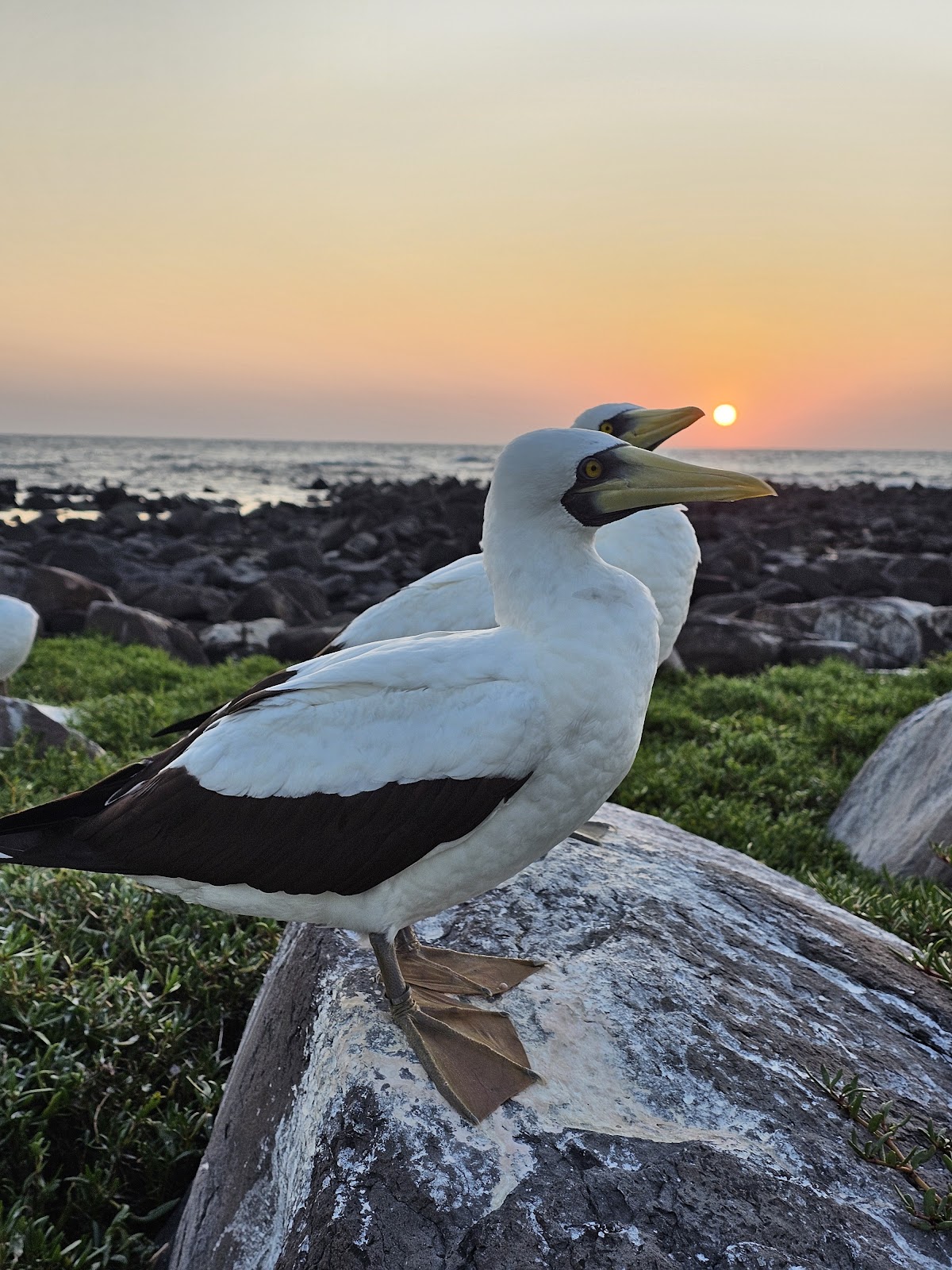Parque Nacional Marinho dos Abrolhos