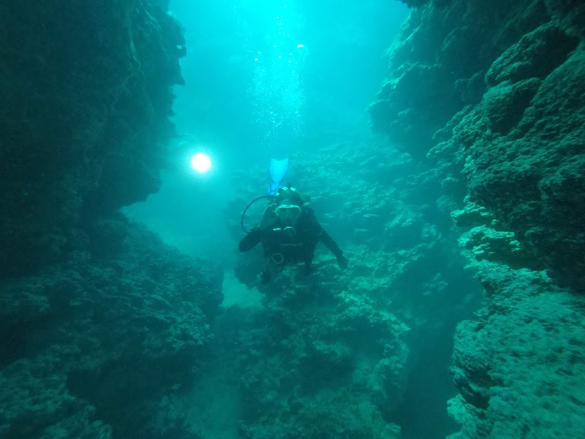 Parque Nacional Marinho dos Abrolhos