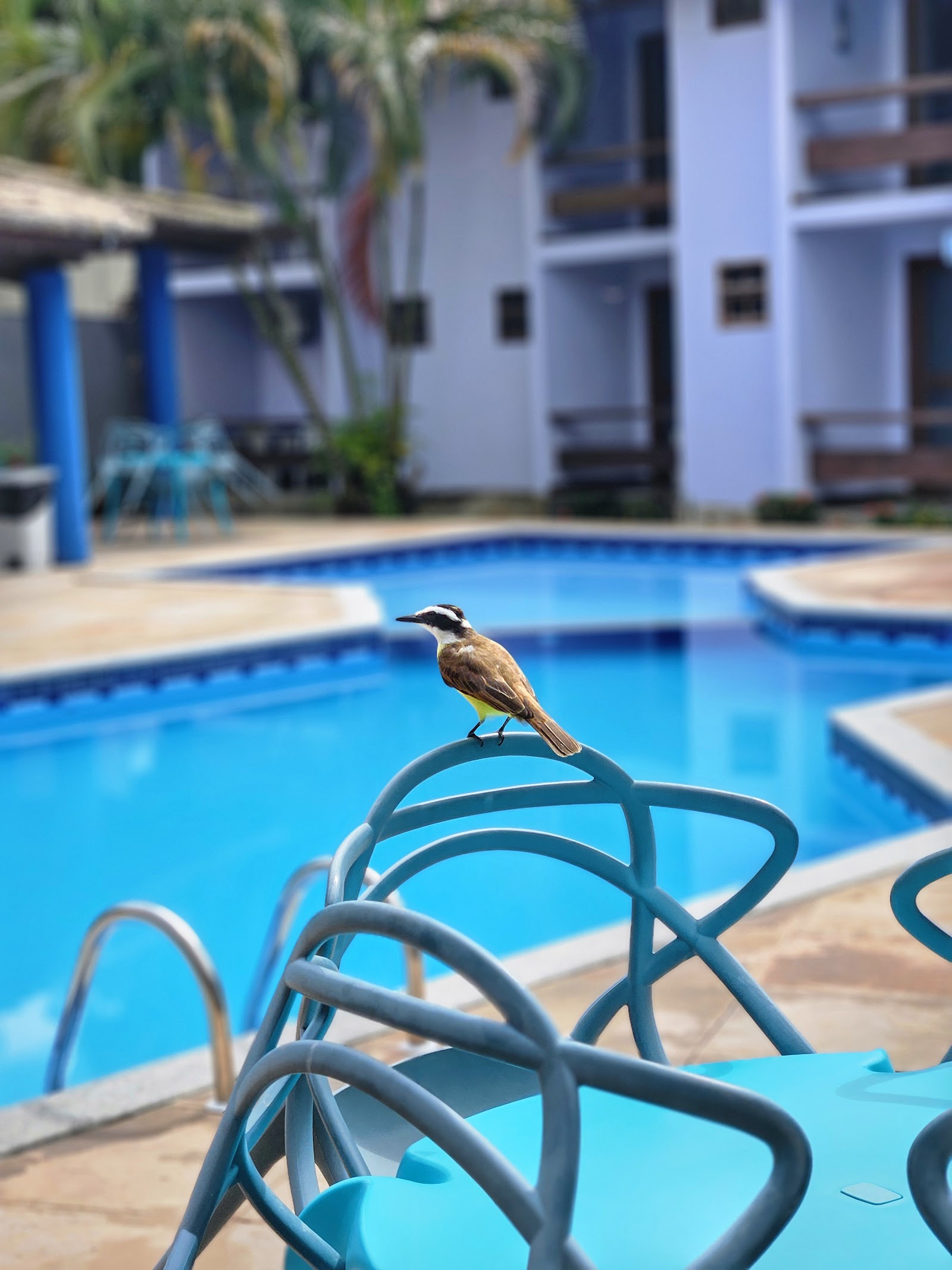 Rede Andrade Estrela Dalva Centro Hotel