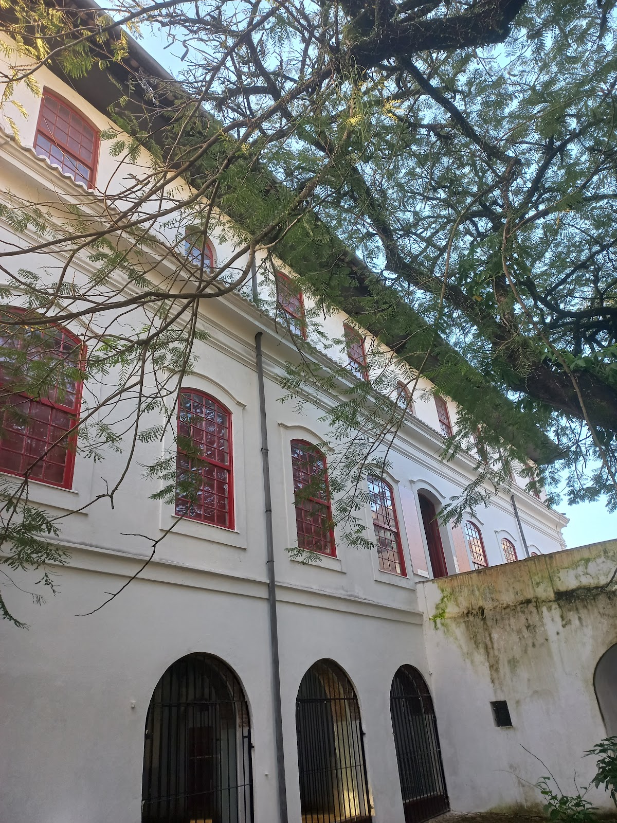 MAM Museu De Arte Moderna Da Bahia