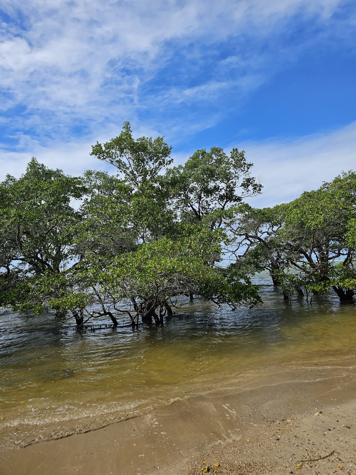 Praia da Conceição