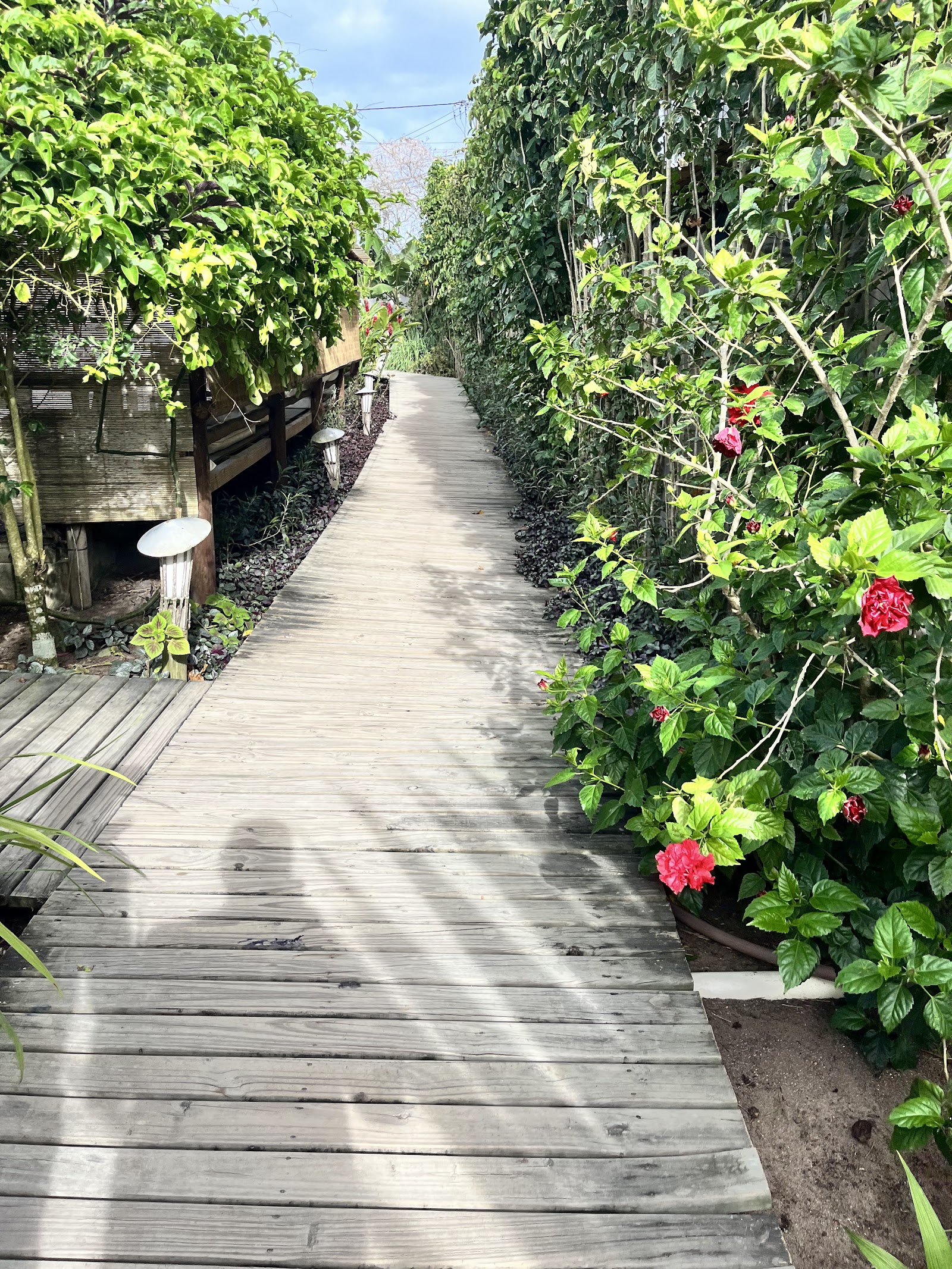 Pousada Vila Dendê