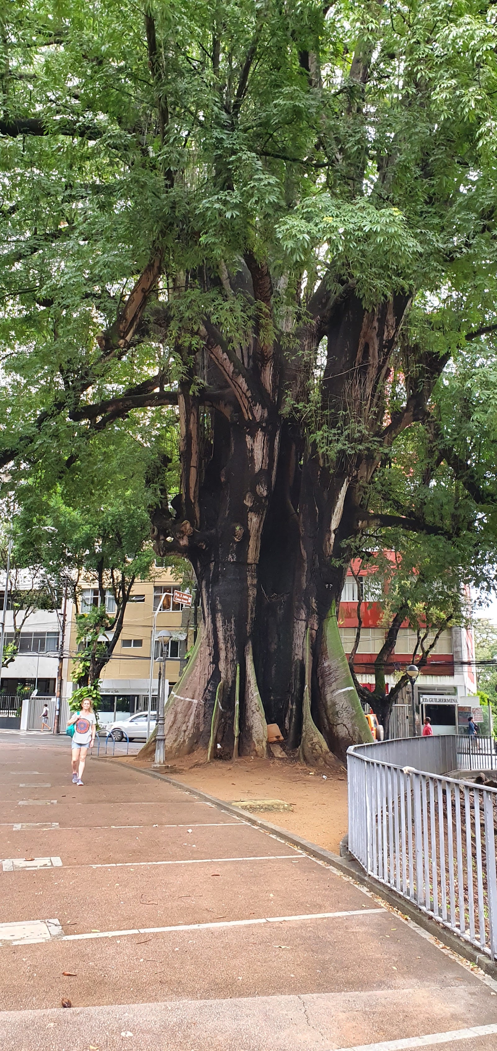 "Pé do Caboclo" - Monumento ao Dois de Julho