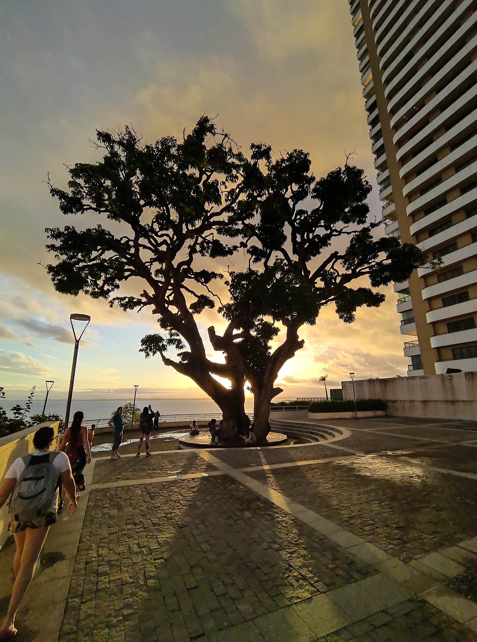 Salvador