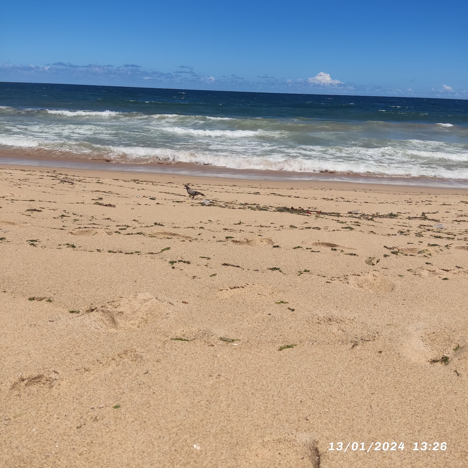 Praia do Chega Nego