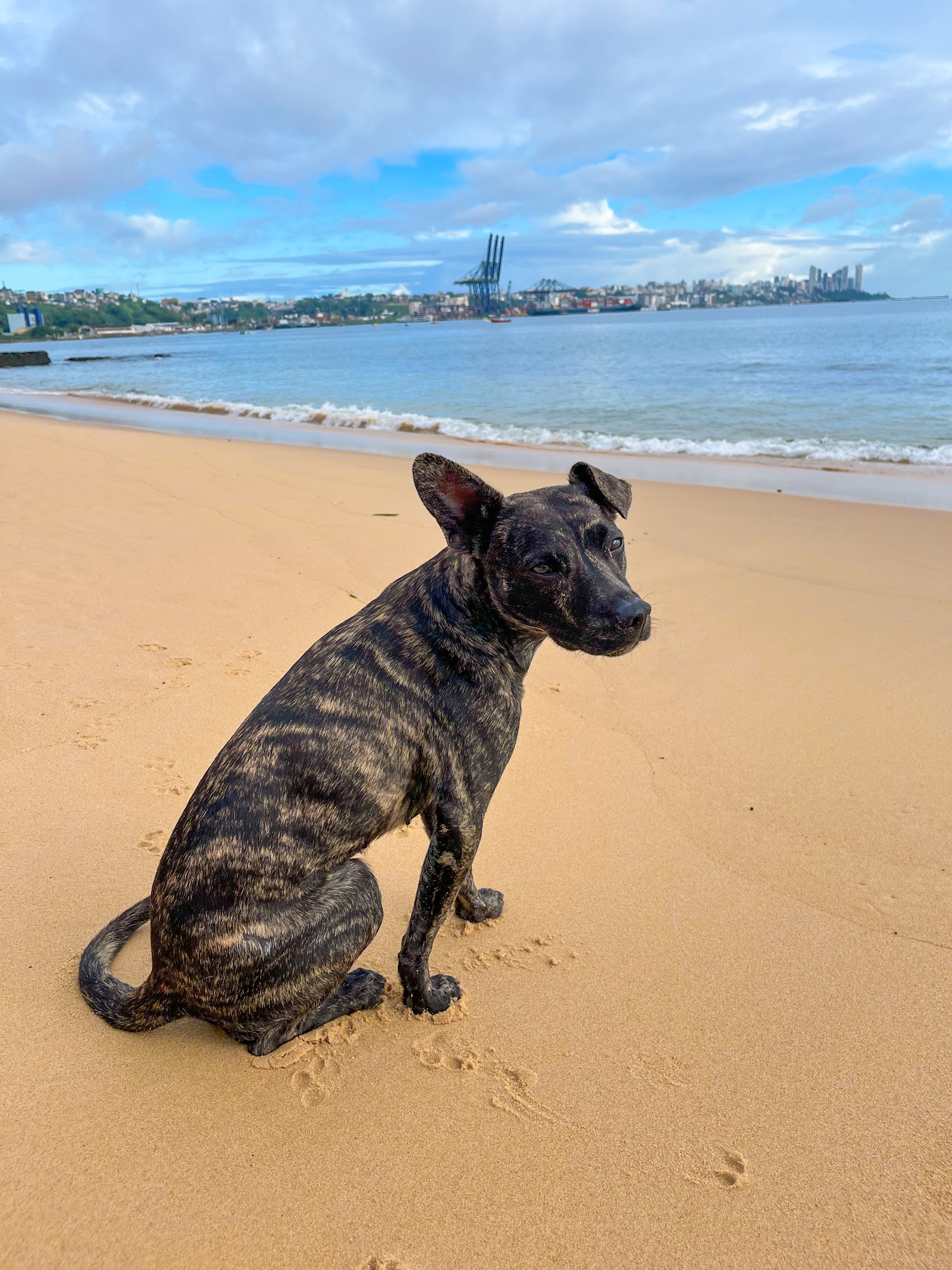 Praia de Roma
