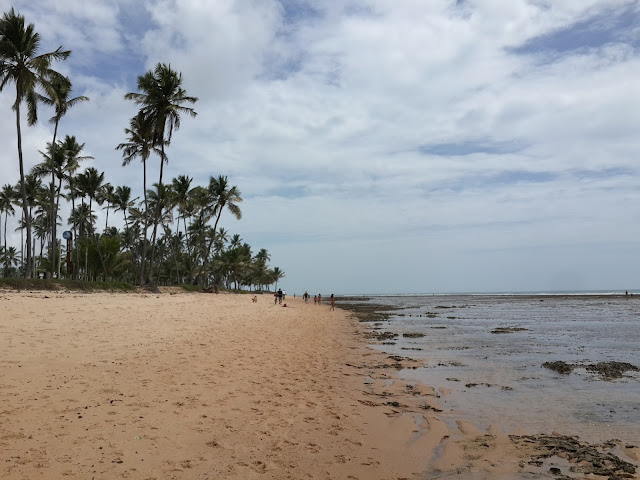 Praia do Lord