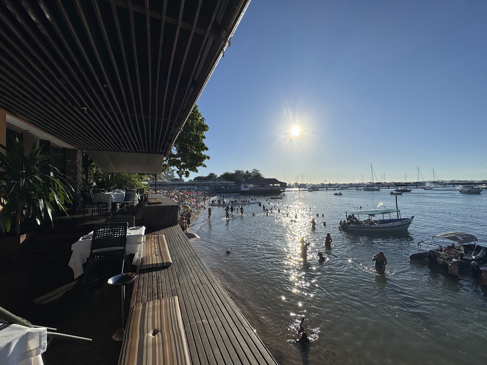 Amado