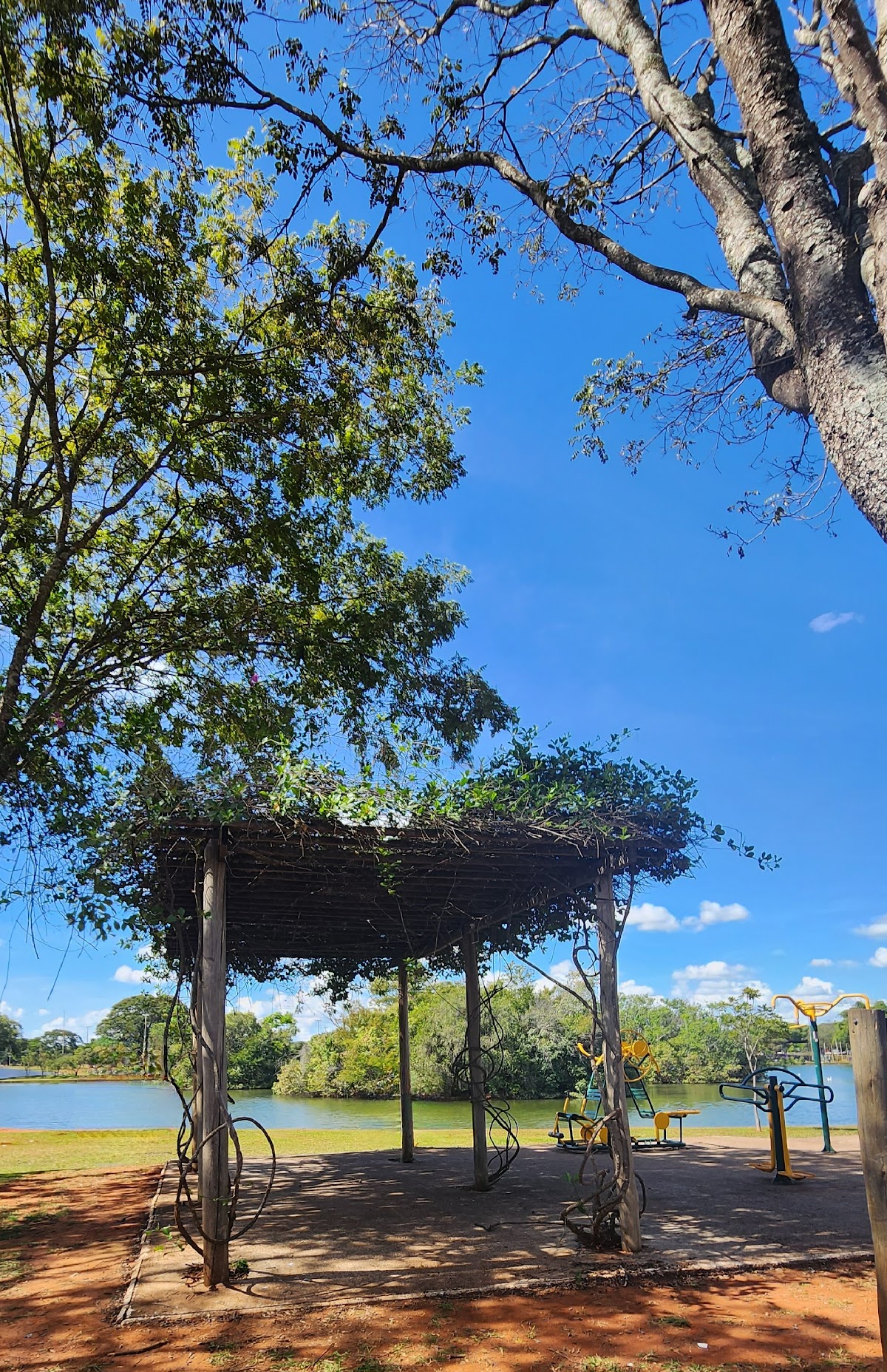 Parque da Cidade Sarah Kubitschek