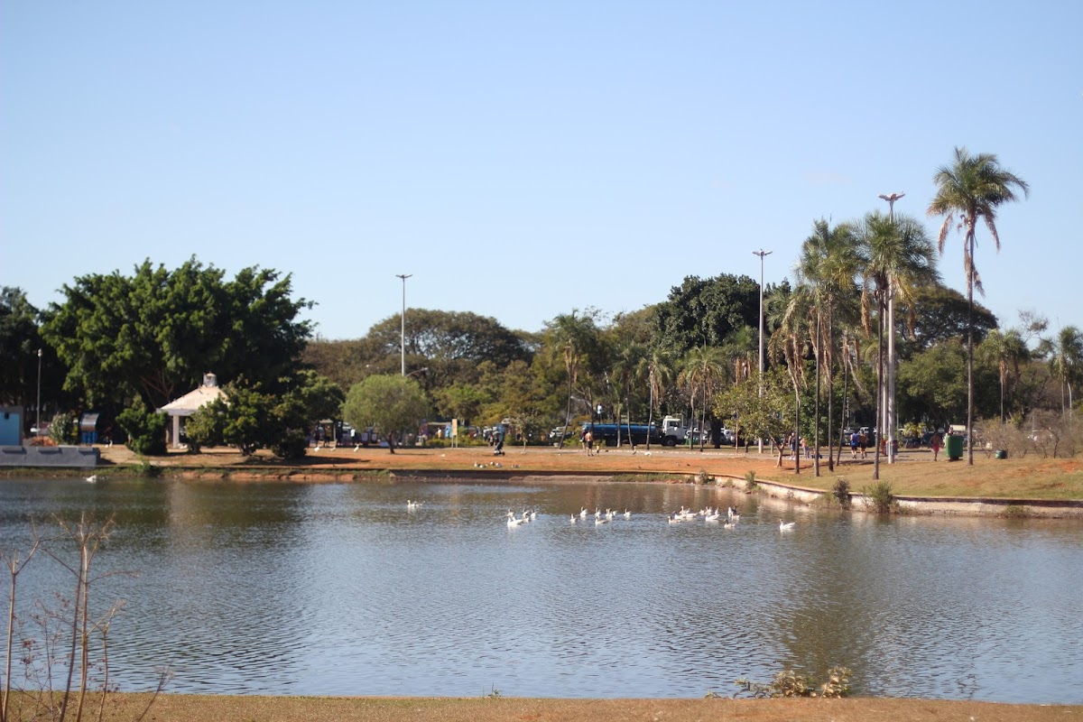 Parque da Cidade Sarah Kubitschek
