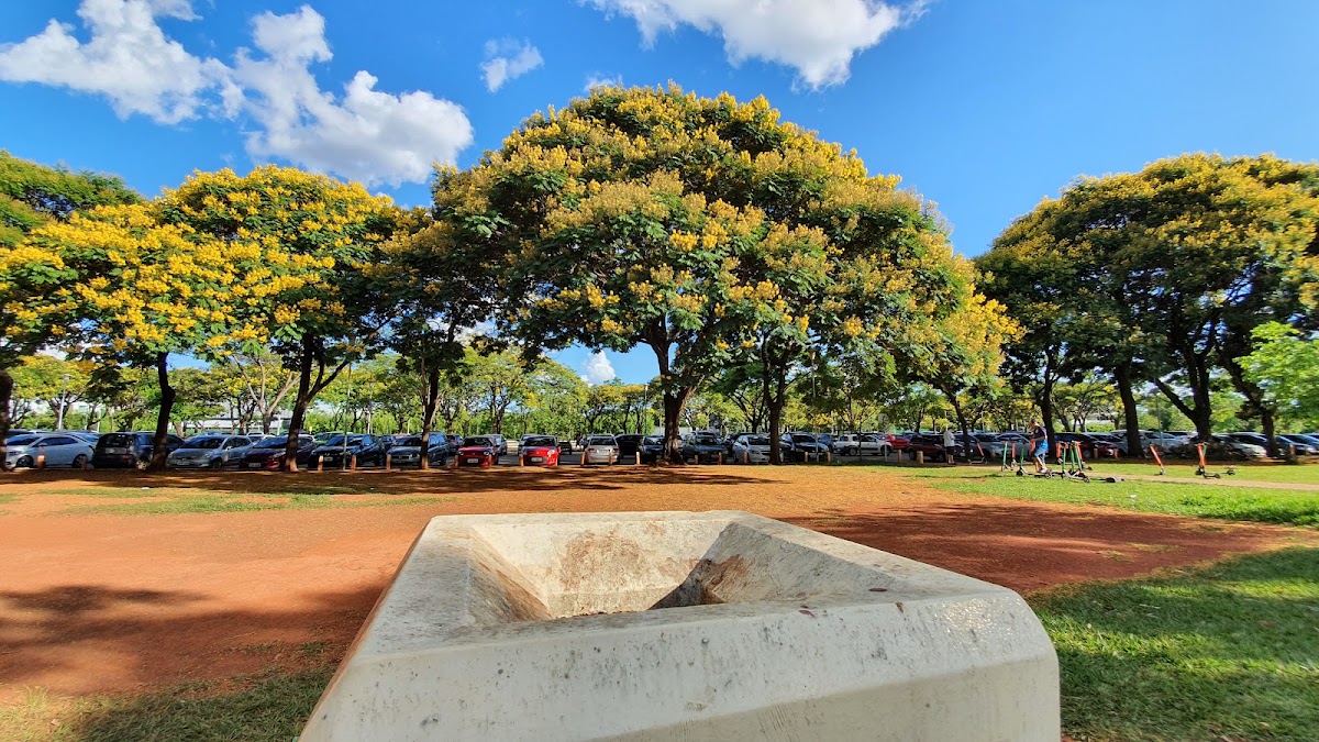 Parque da Cidade Sarah Kubitschek