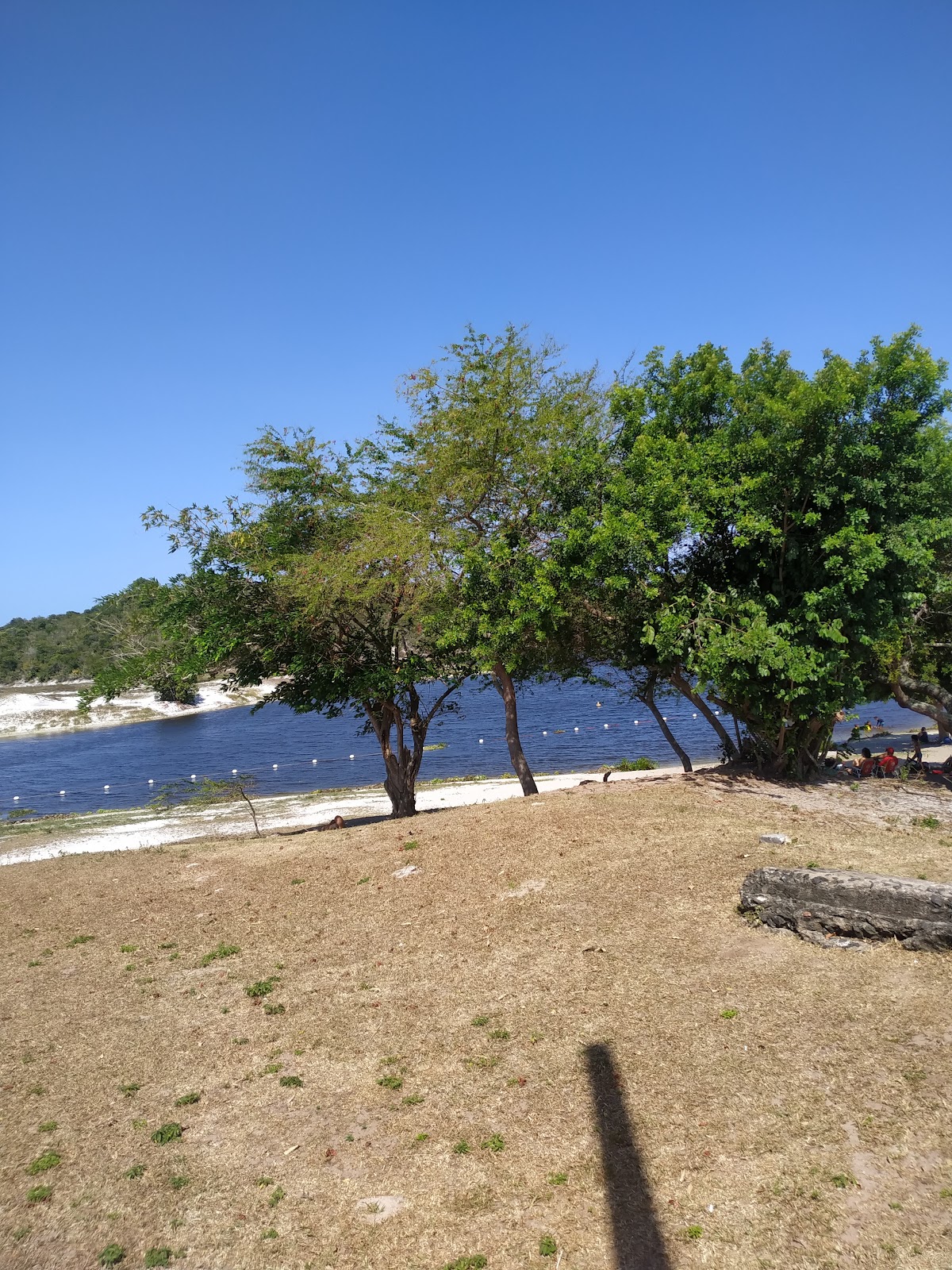 Parque Metropolitano do Abaeté