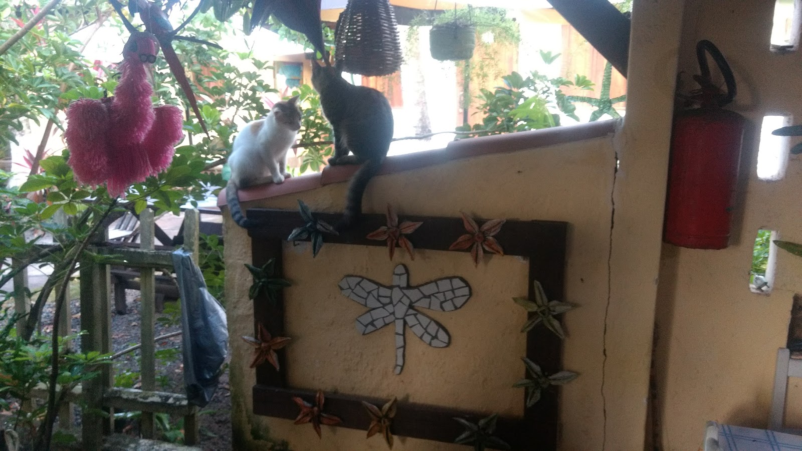 Pousada Toca da Raposa