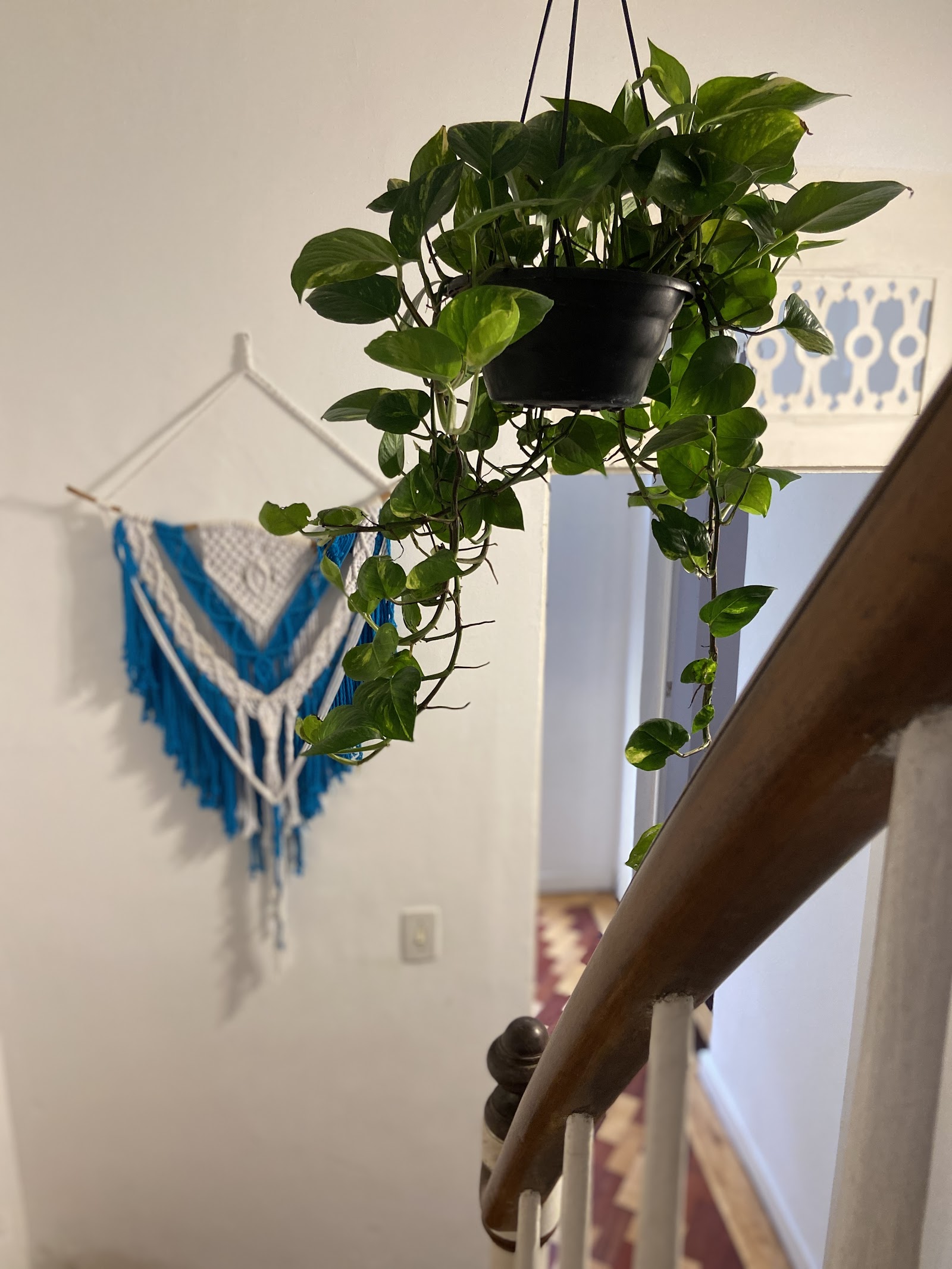 Odara Hostel & Guesthouse