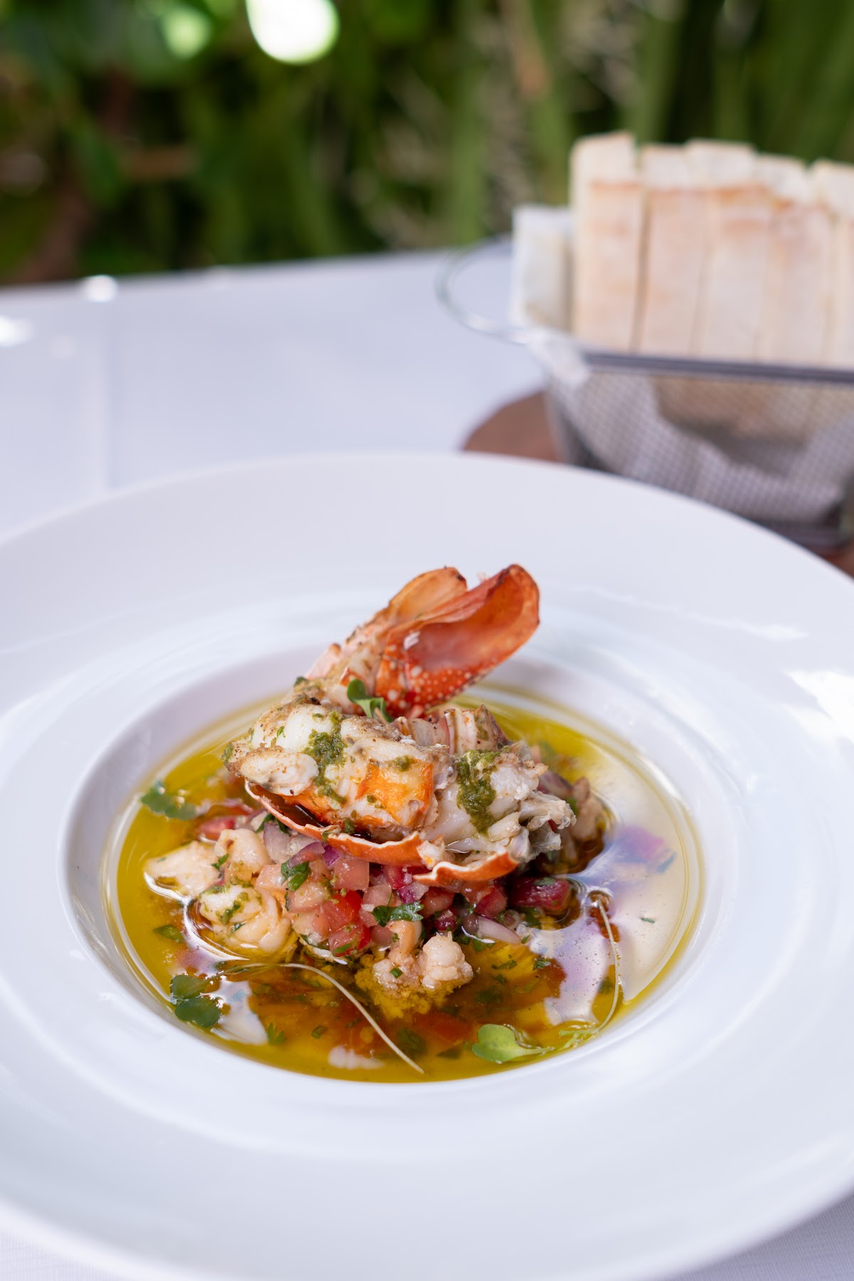 Restaurante Vini Figueira Gastronomia