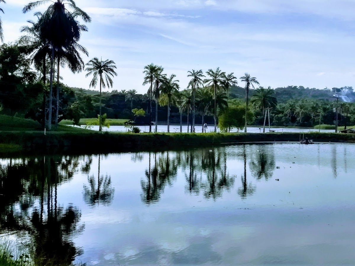 Hotel Fazenda Recanto