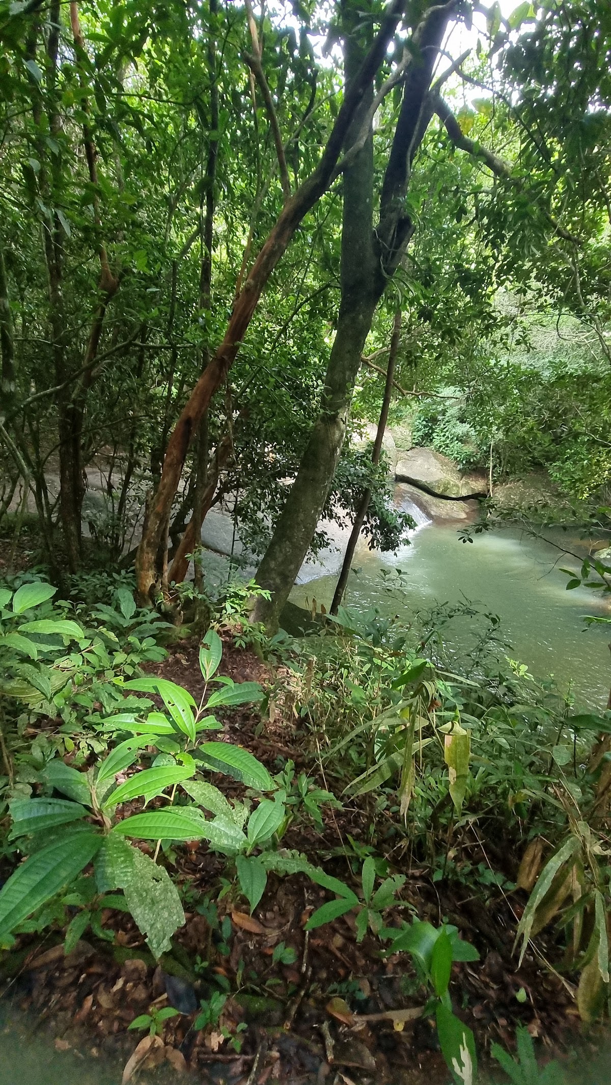 Cachoeira da Feiticeira