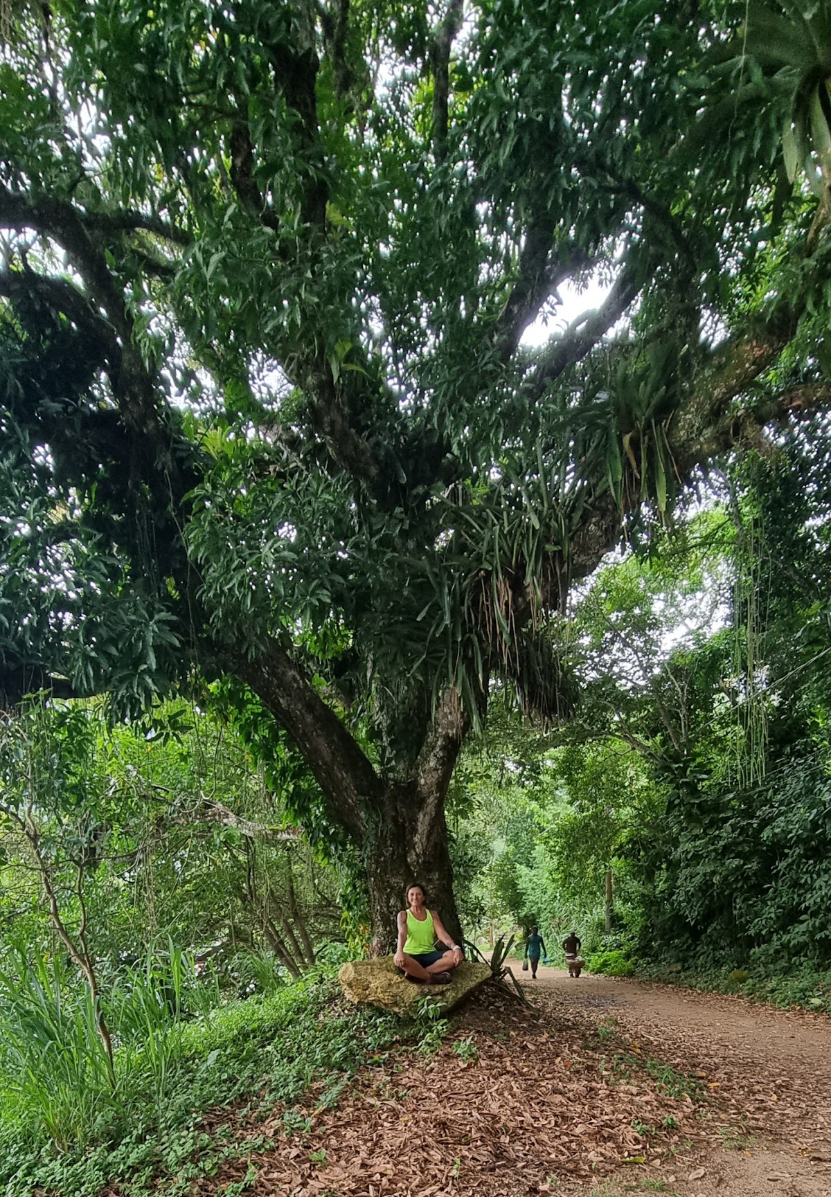 Cachoeira da Feiticeira