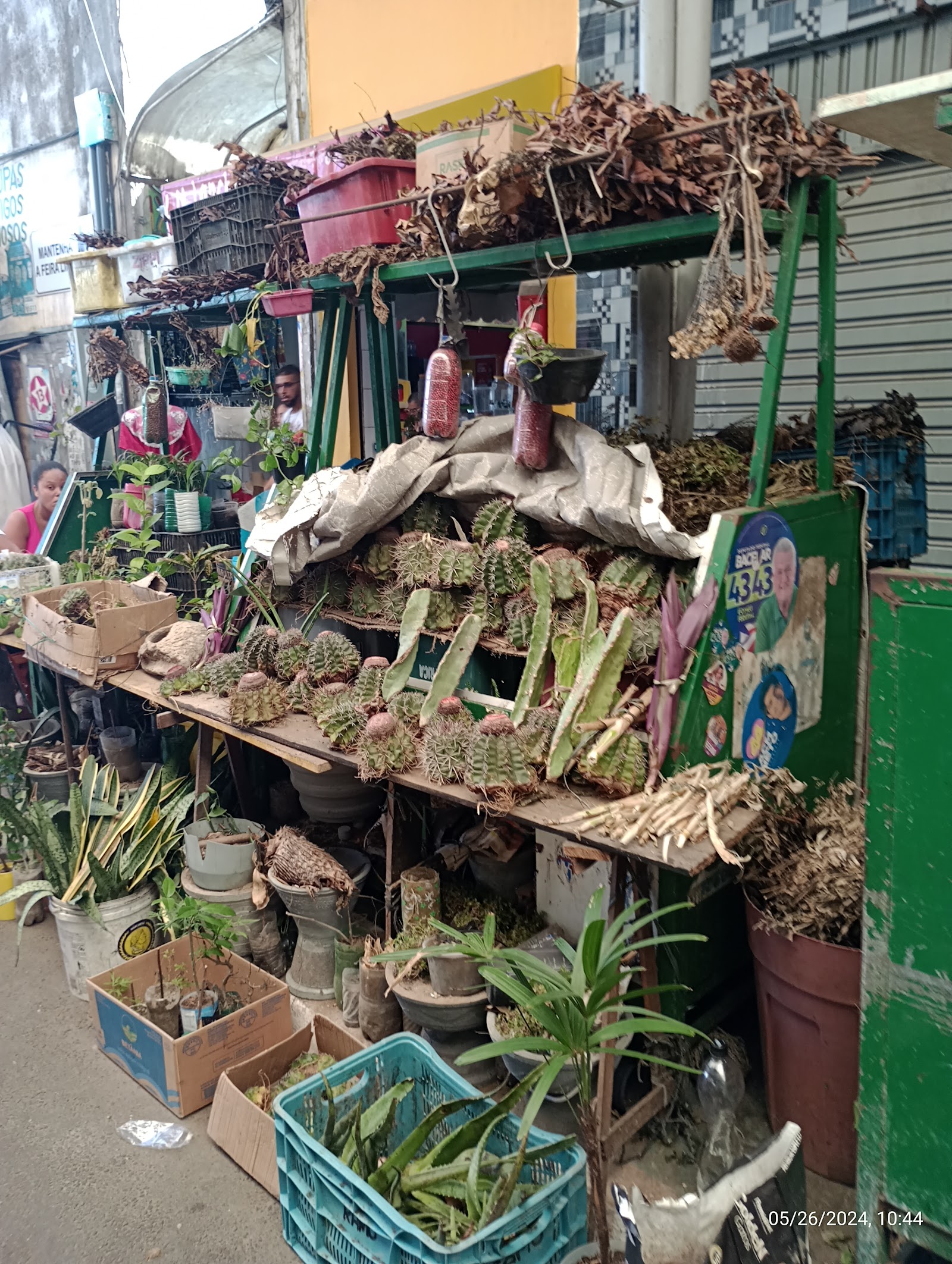 Feira de São Joaquim