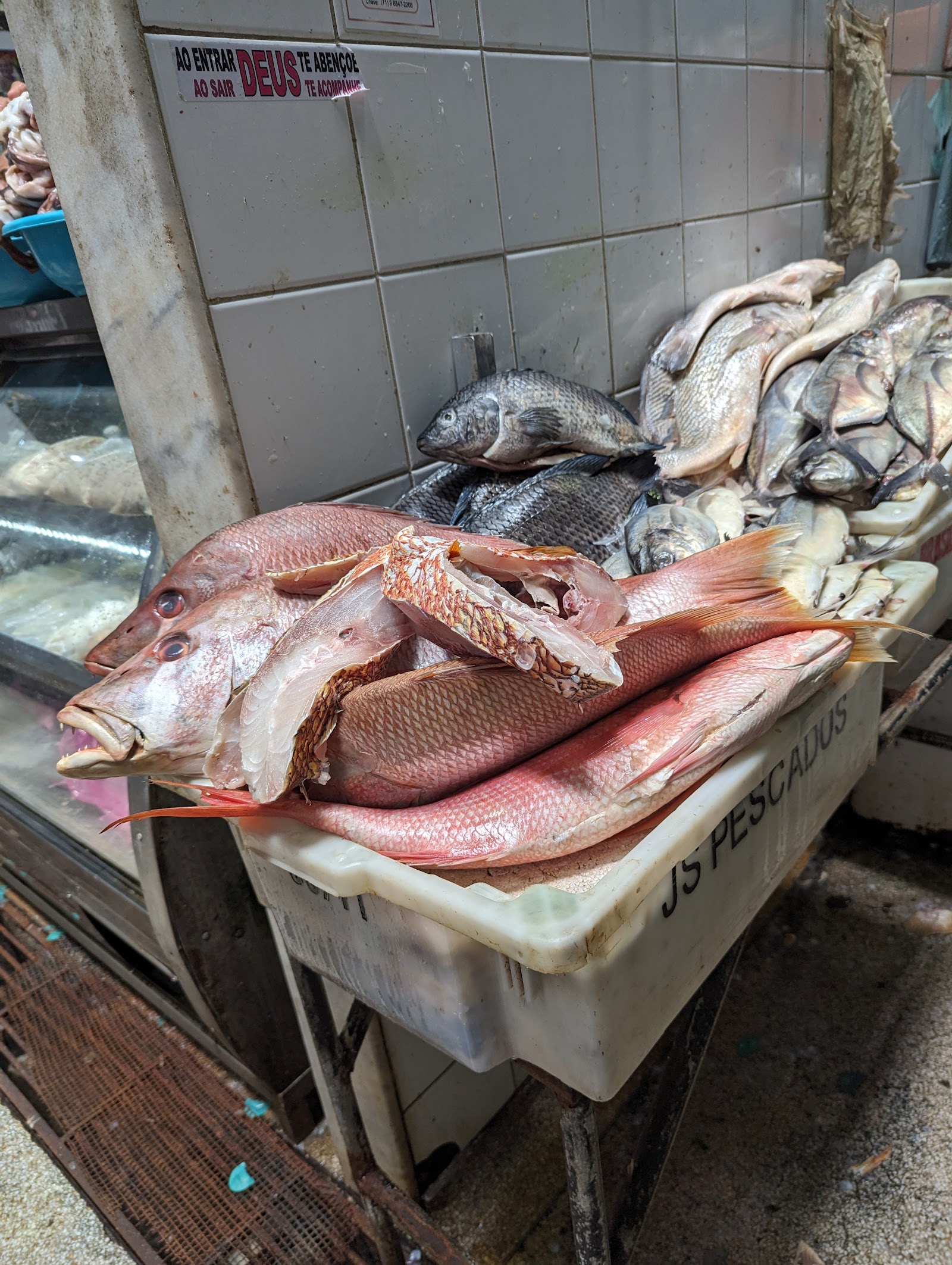 Mercado Popular