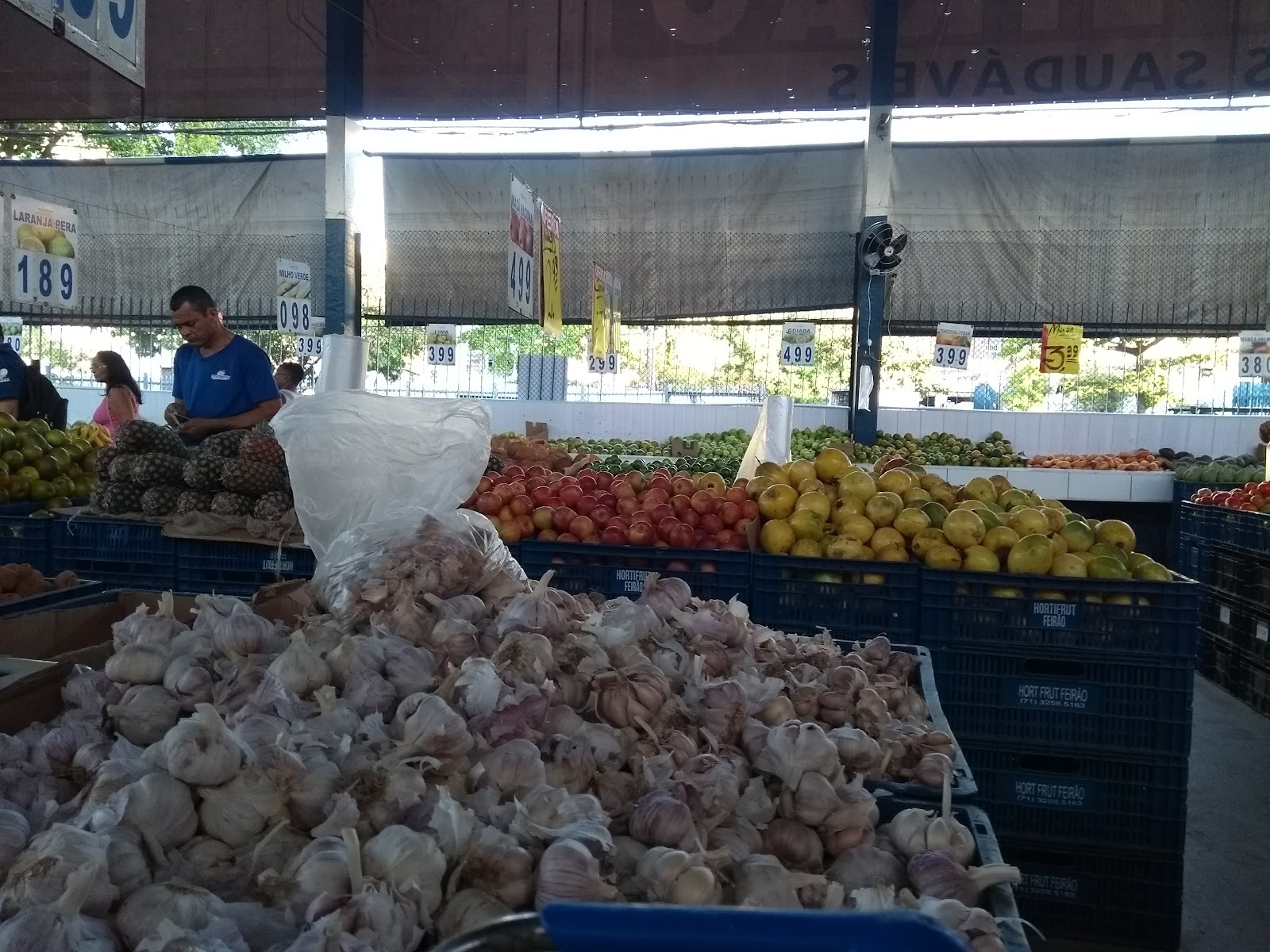 Hort - Frut Feirão
